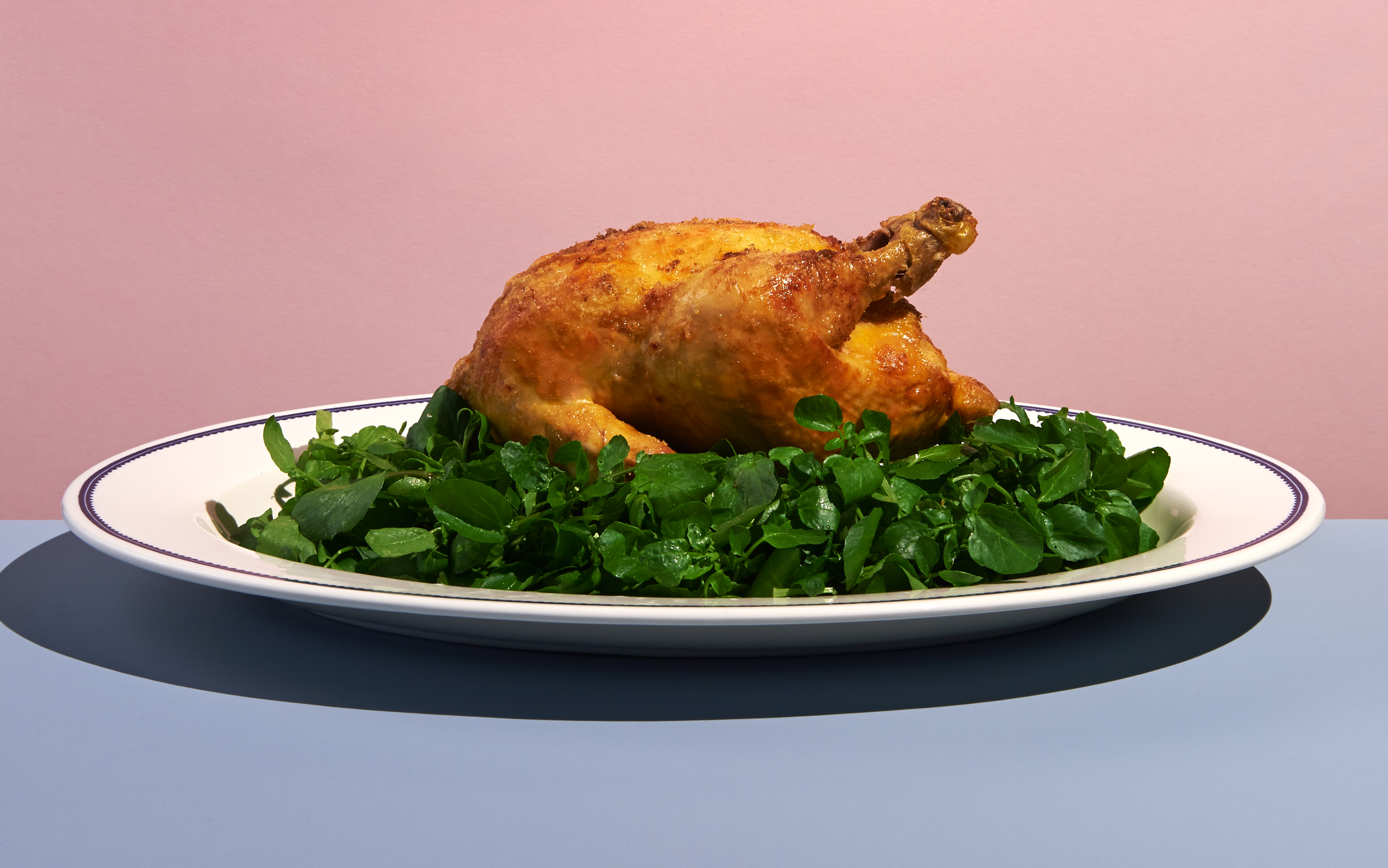 Roast chicken with fennel gratin