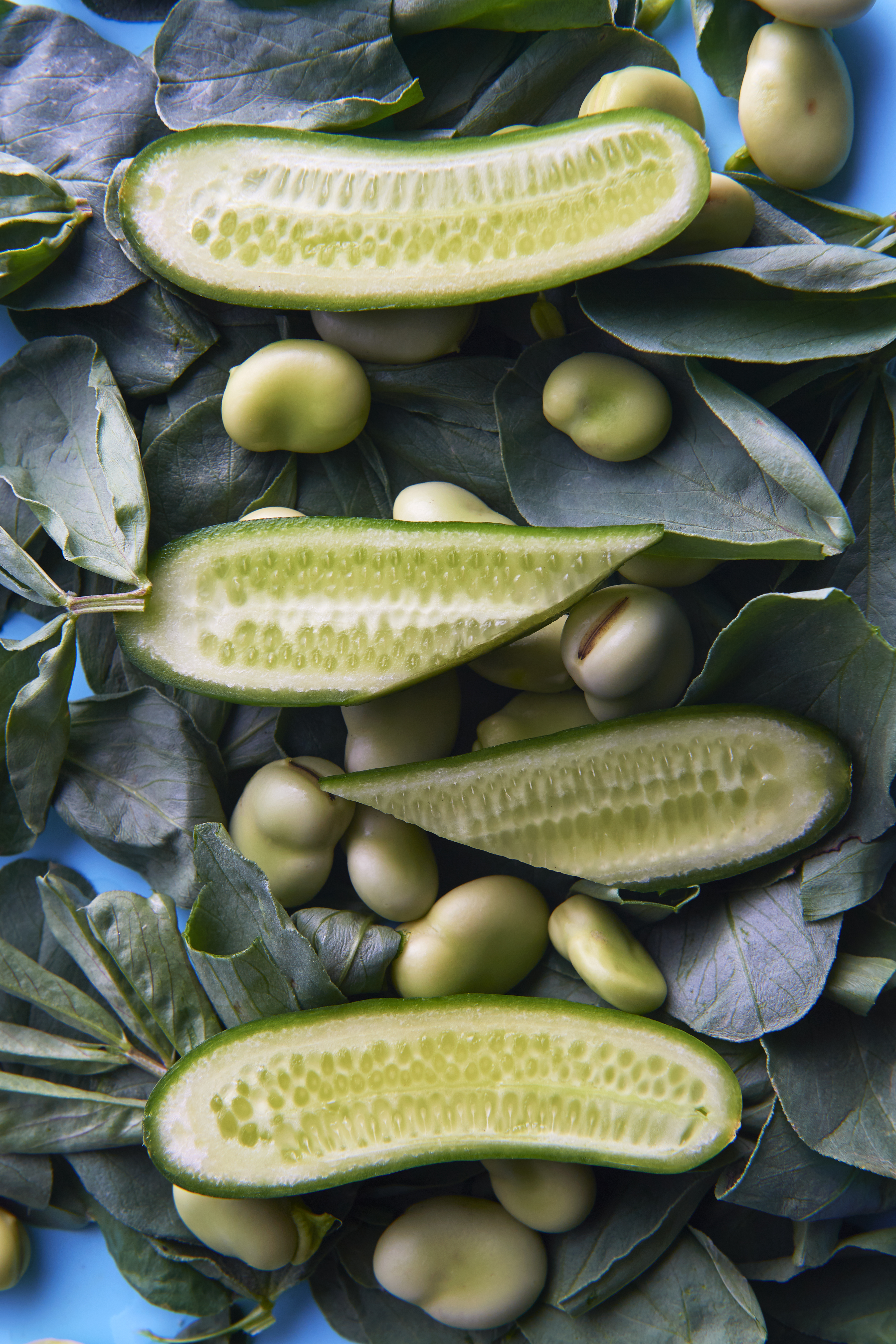 Whipped smoked fish with broad beans, leaves and salted cucumber