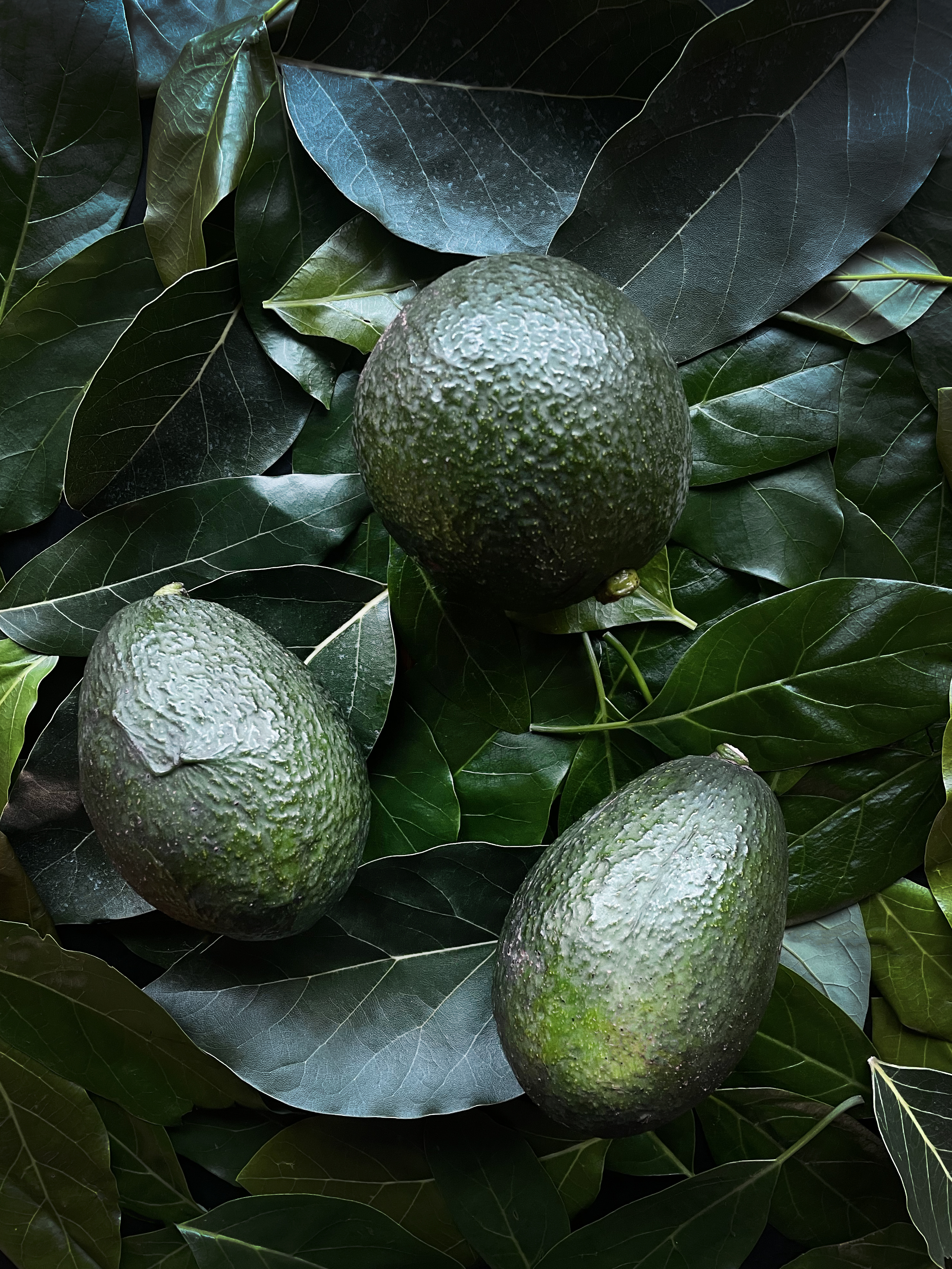 Avocado mole