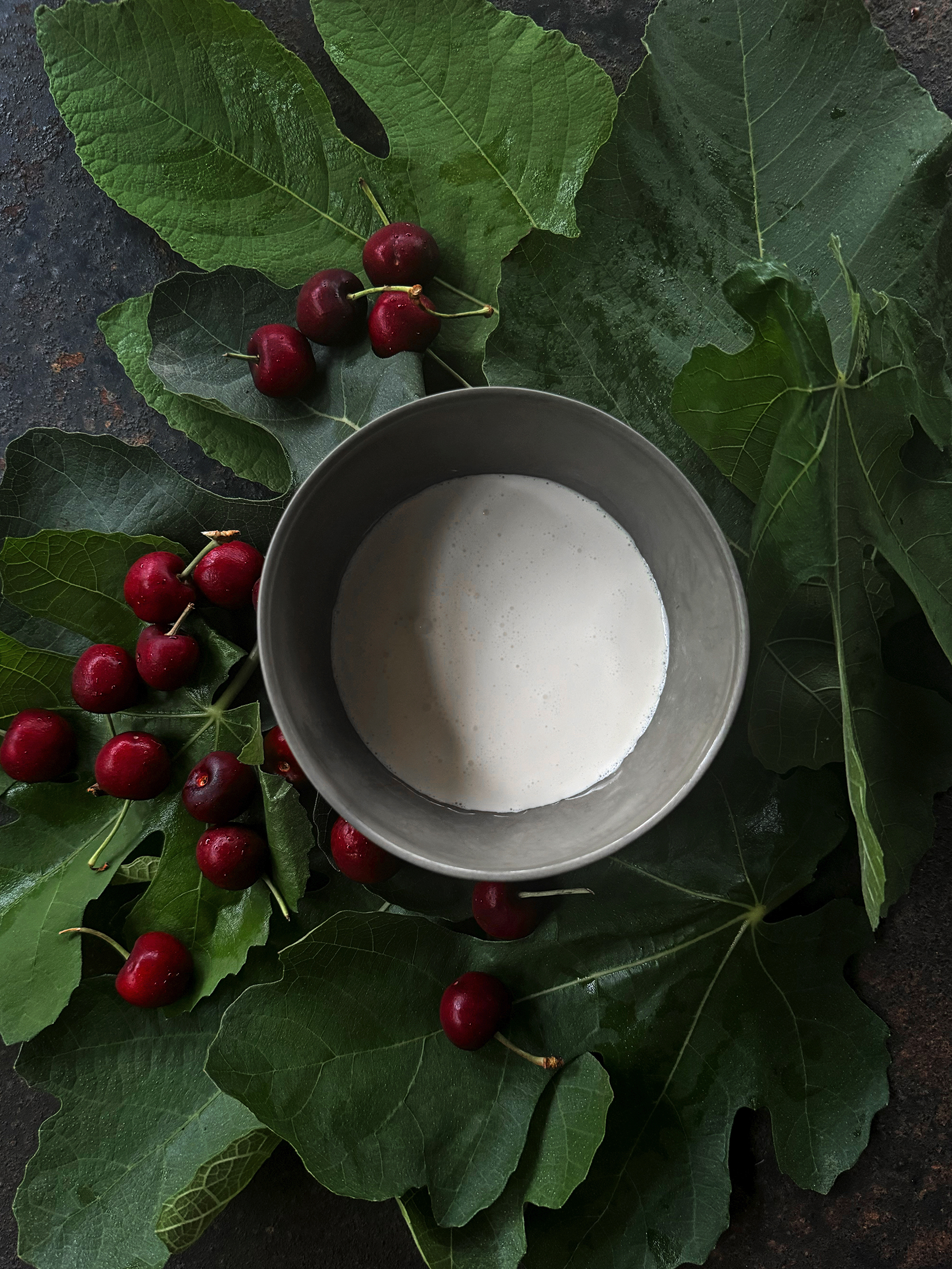 Fig leaf panna cotta with cherries
