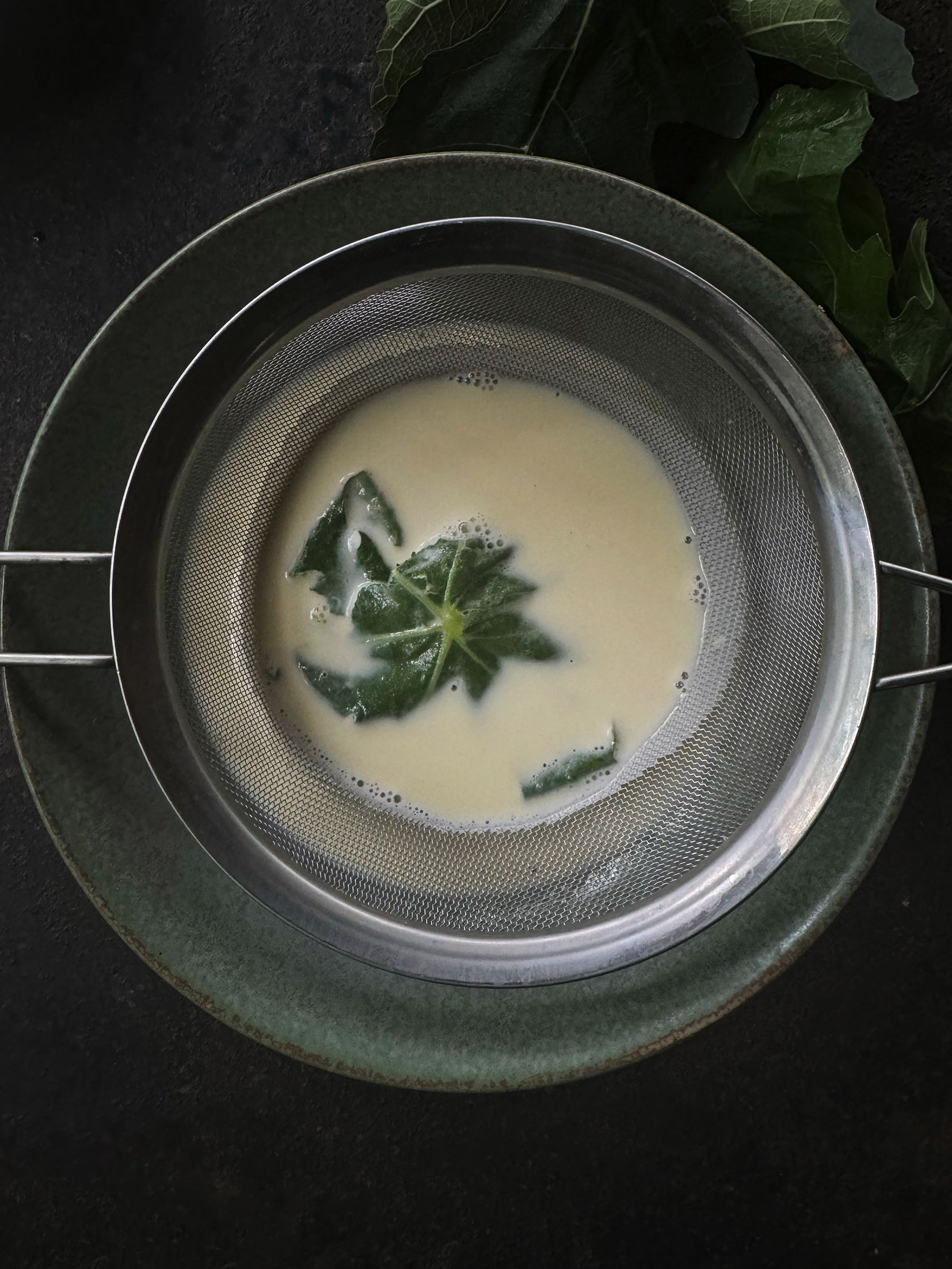 Fig leaf panna cotta with cherries
