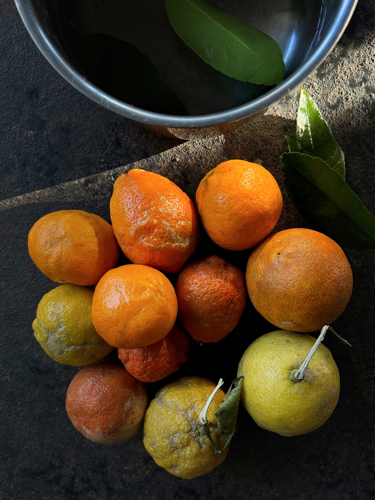 Bittersweet whole citrus and olive oil cake