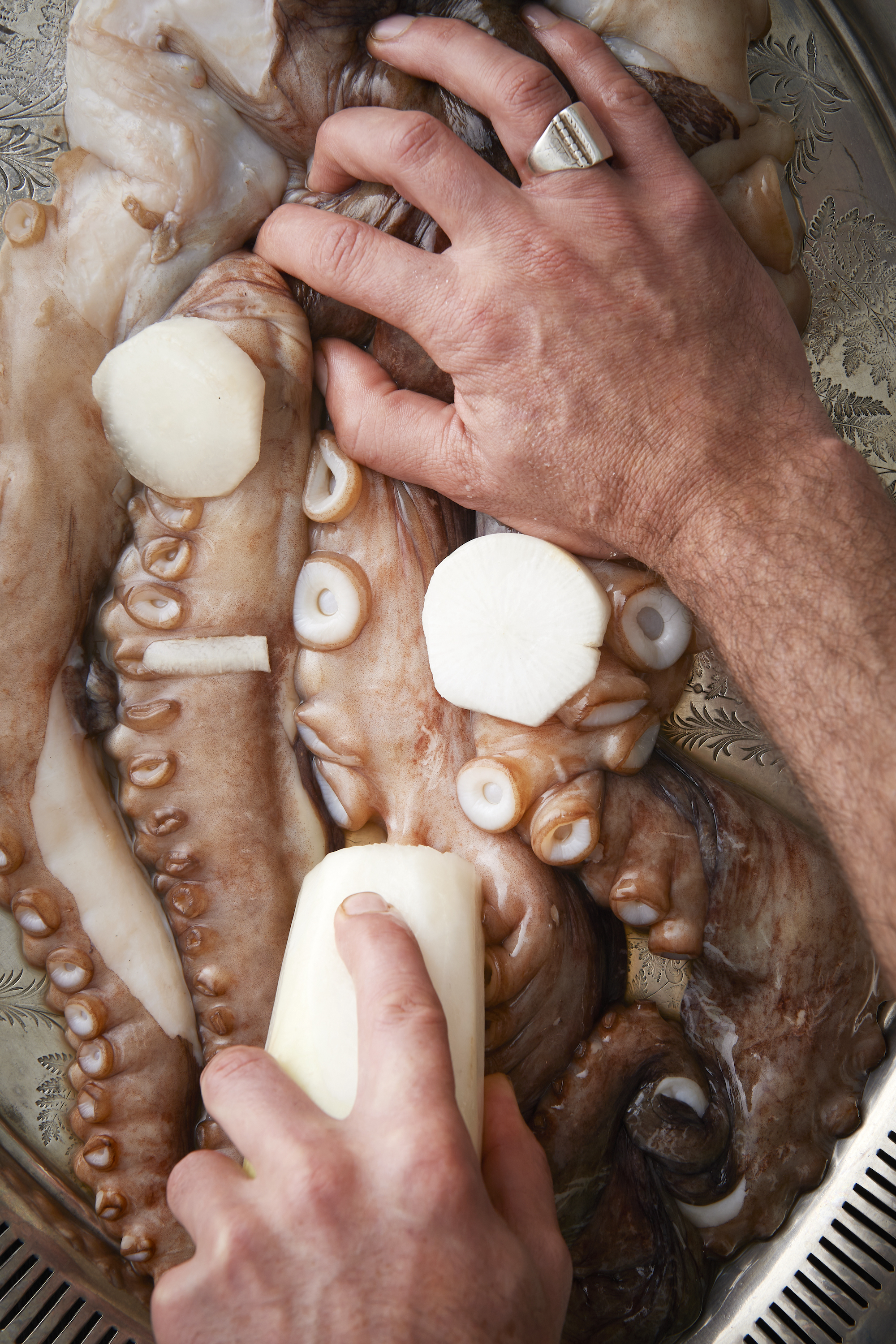 Grilled octopus