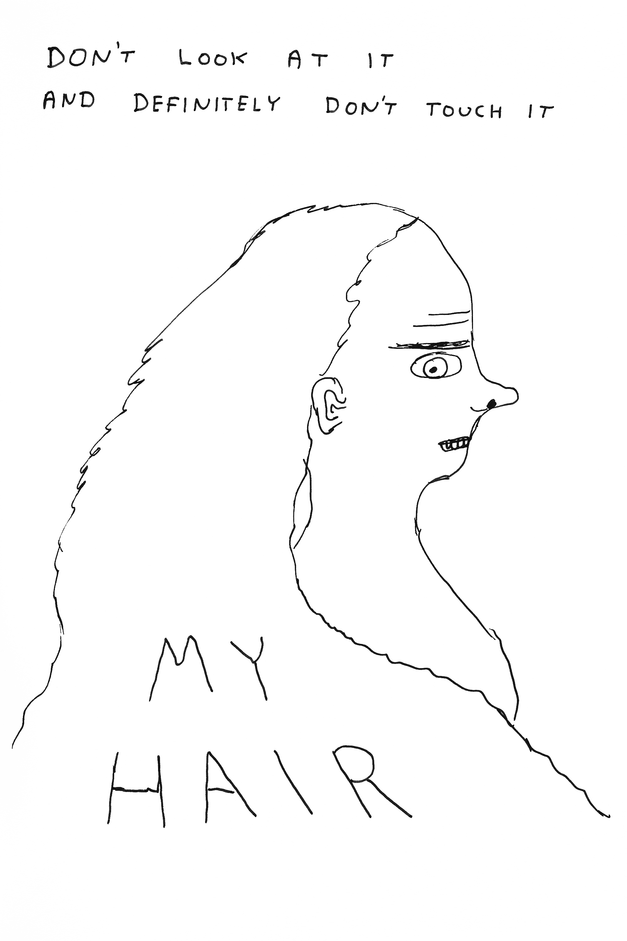 David Shrigley behind the lines