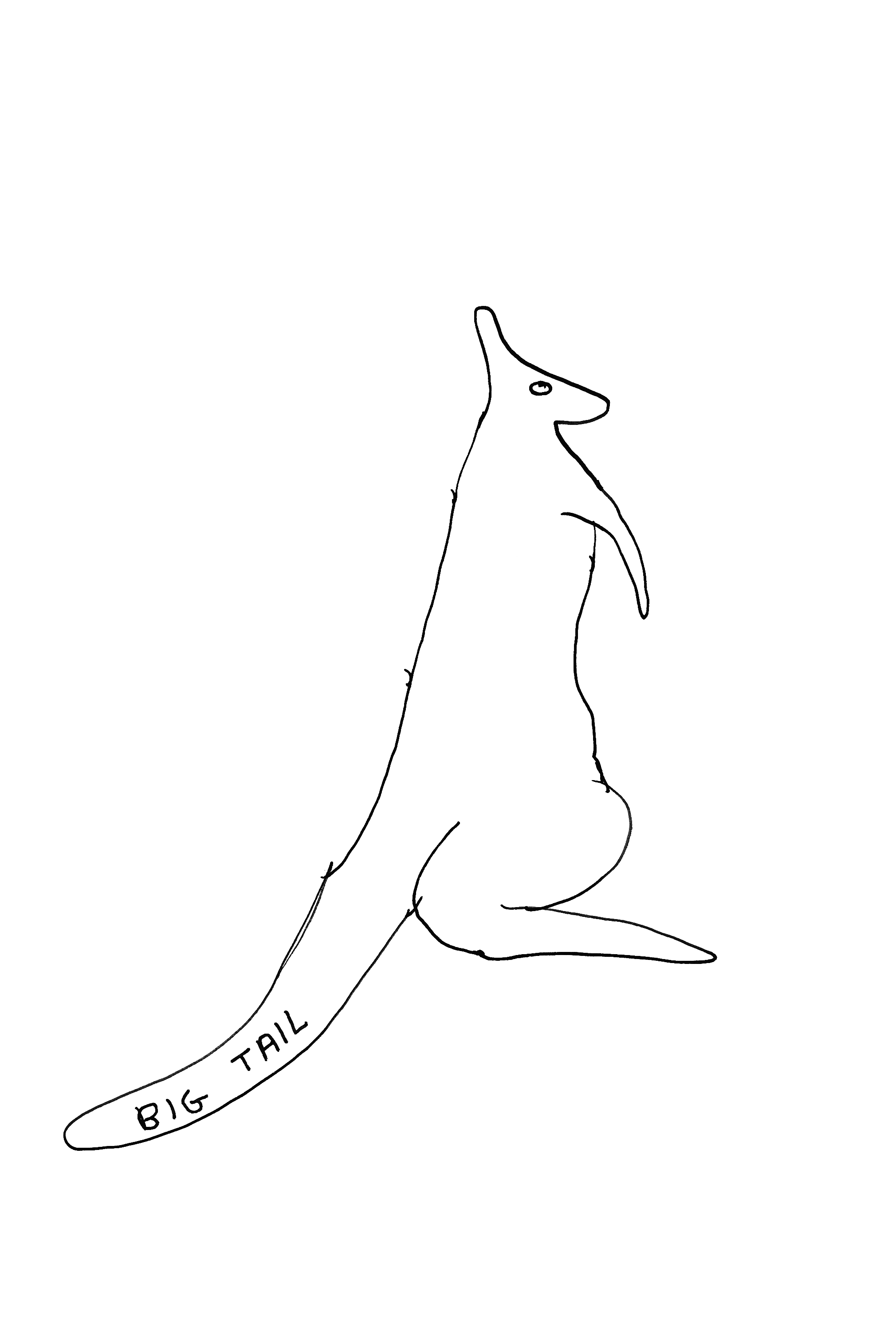 David Shrigley behind the lines