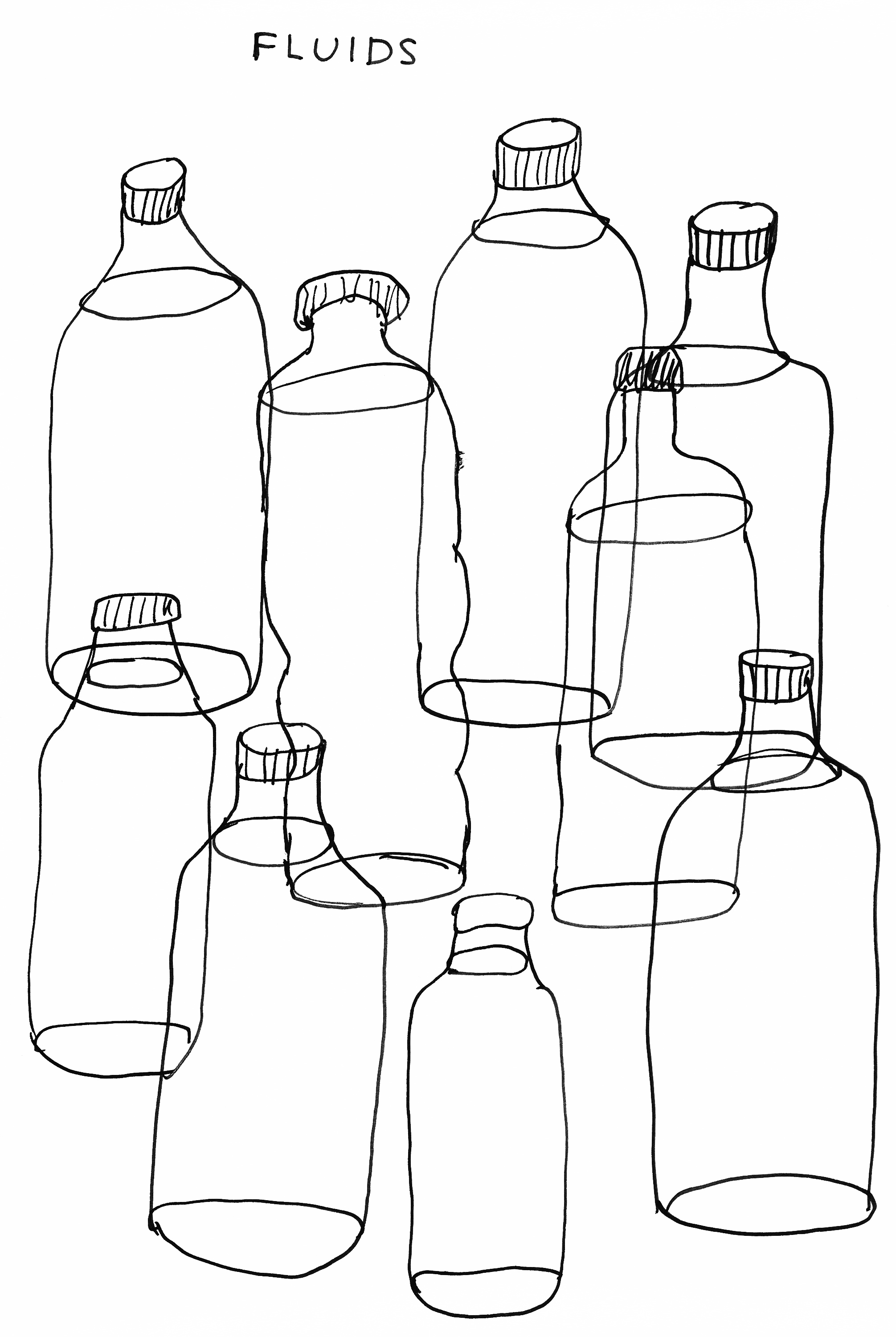 David Shrigley behind the lines