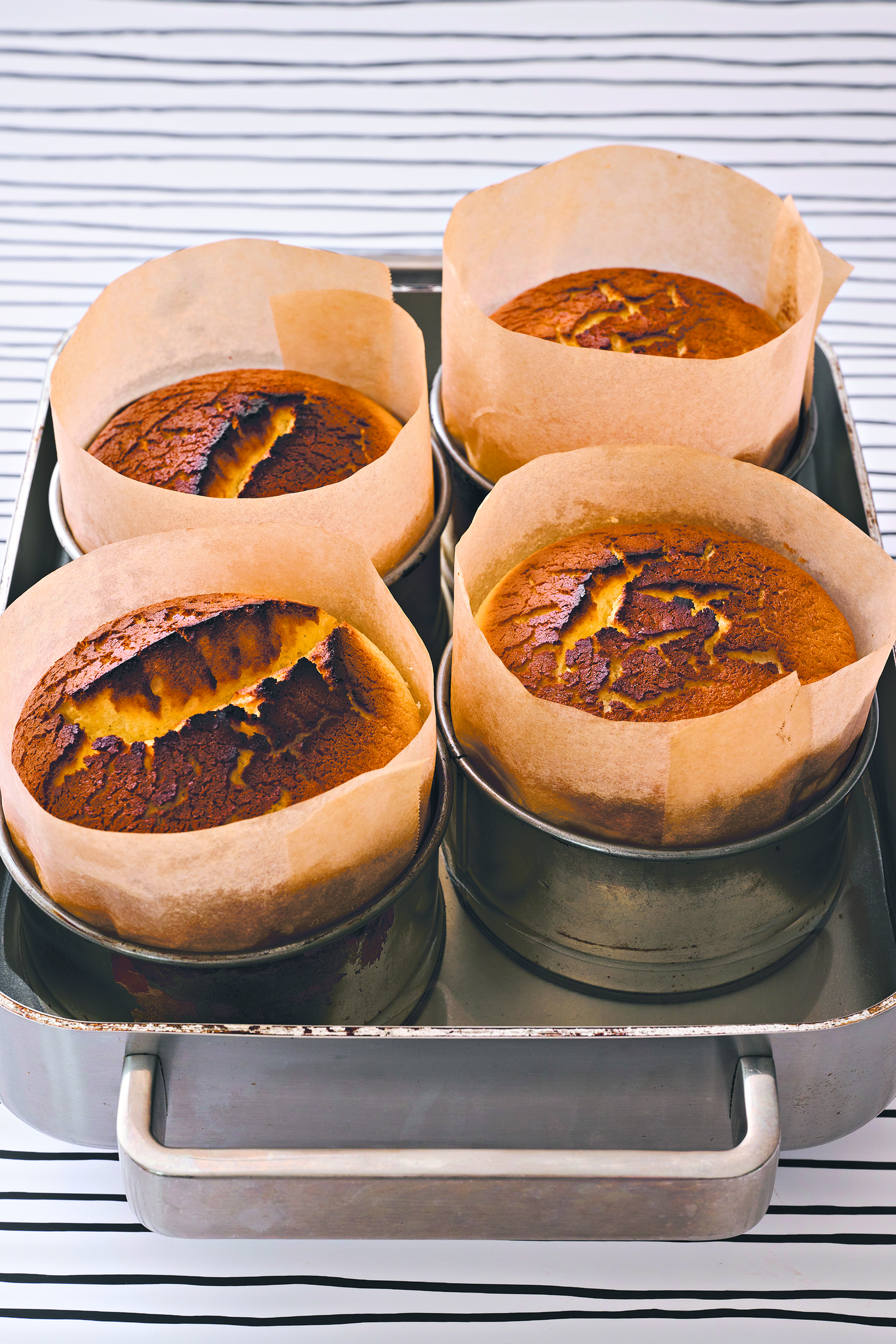 Baked cheesecakes with golden brown tops