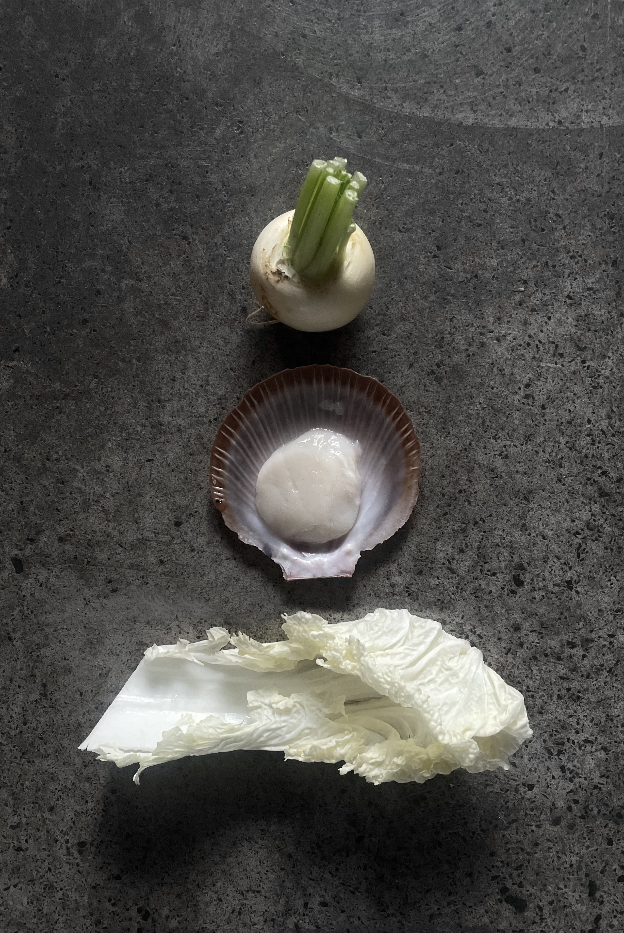 Hand-rolled semolina pasta with scallop blanquette