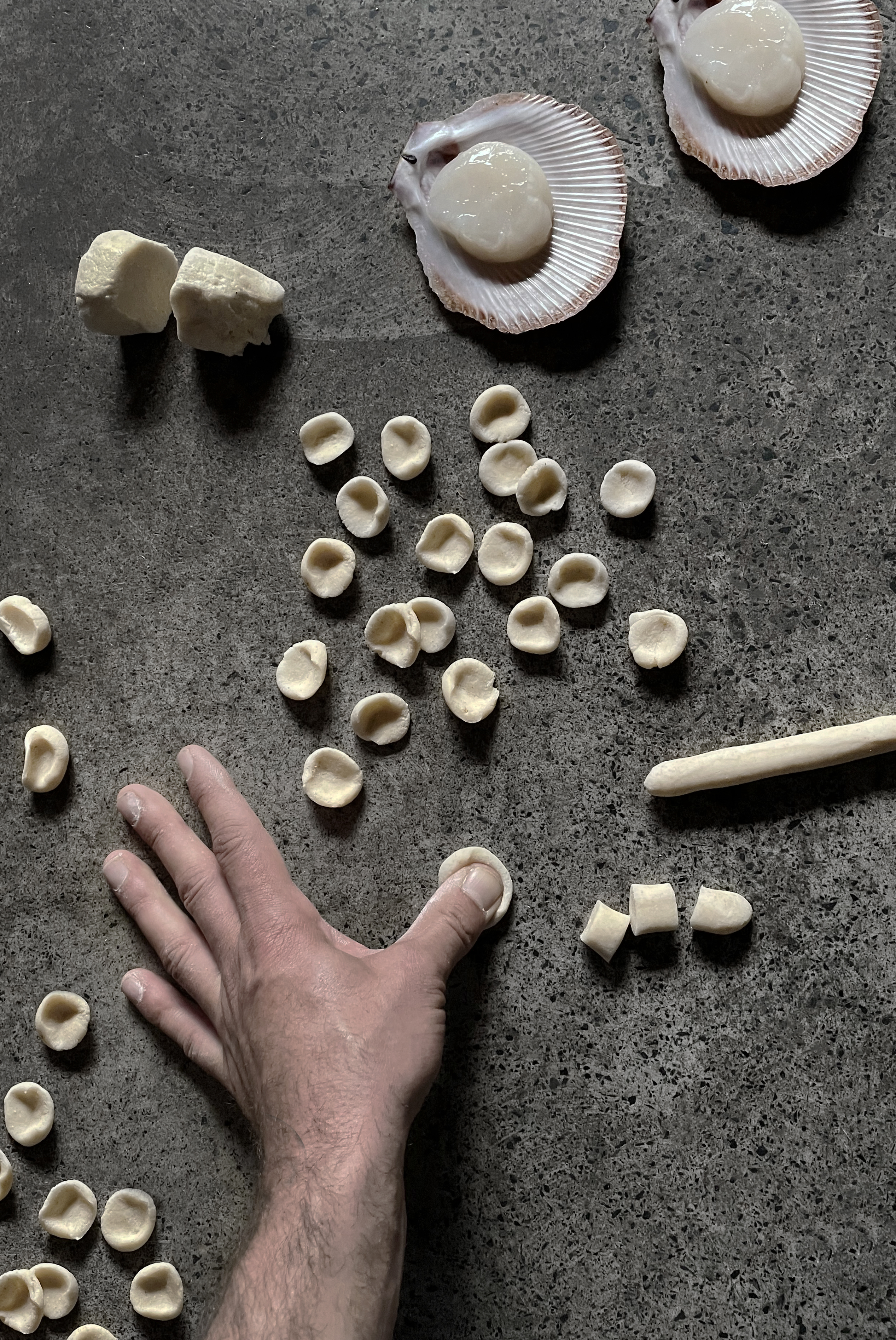 Hand-rolled semolina pasta with scallop blanquette