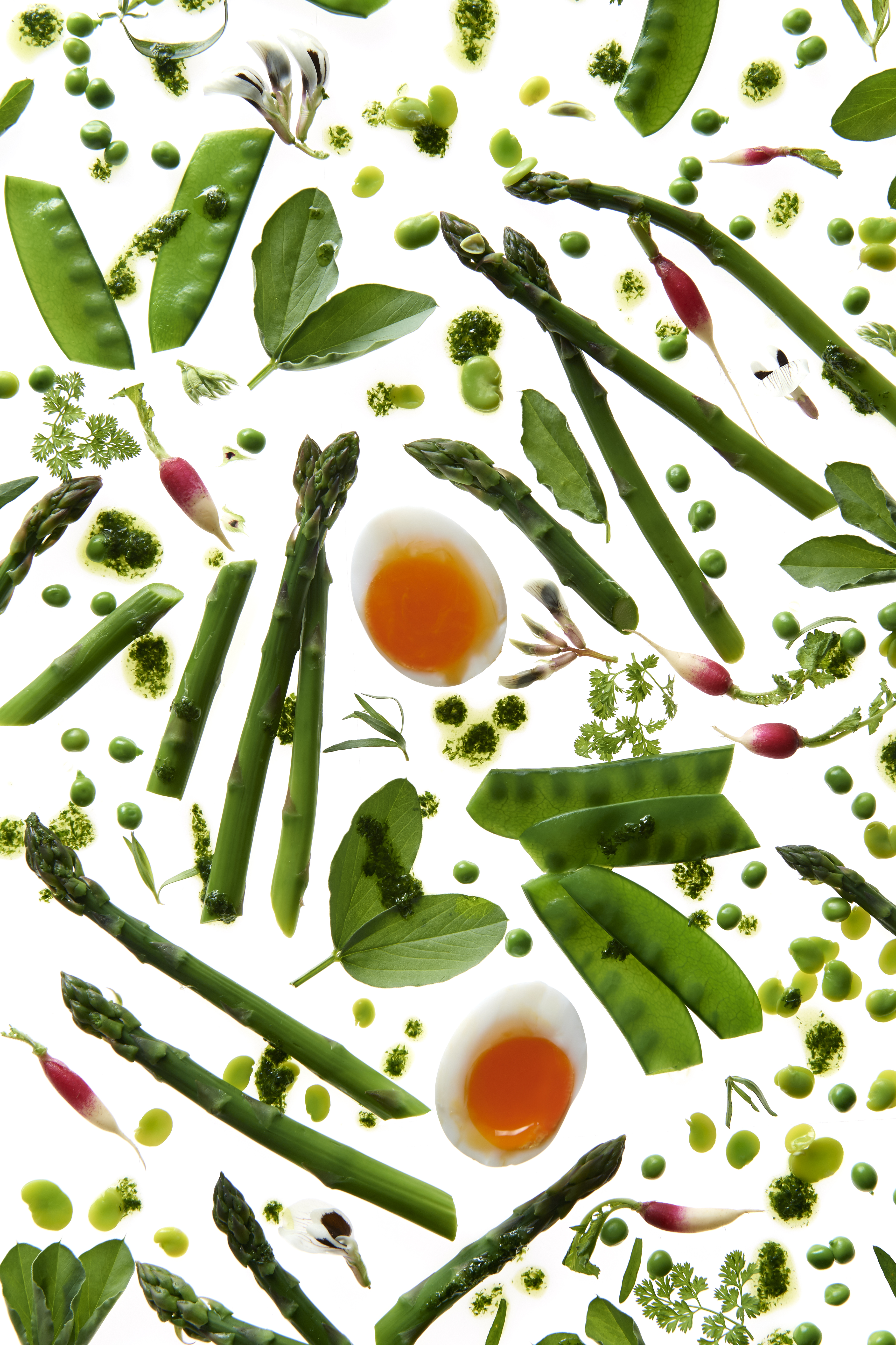 Spring vegetable salad, herb dressing and soft duck egg