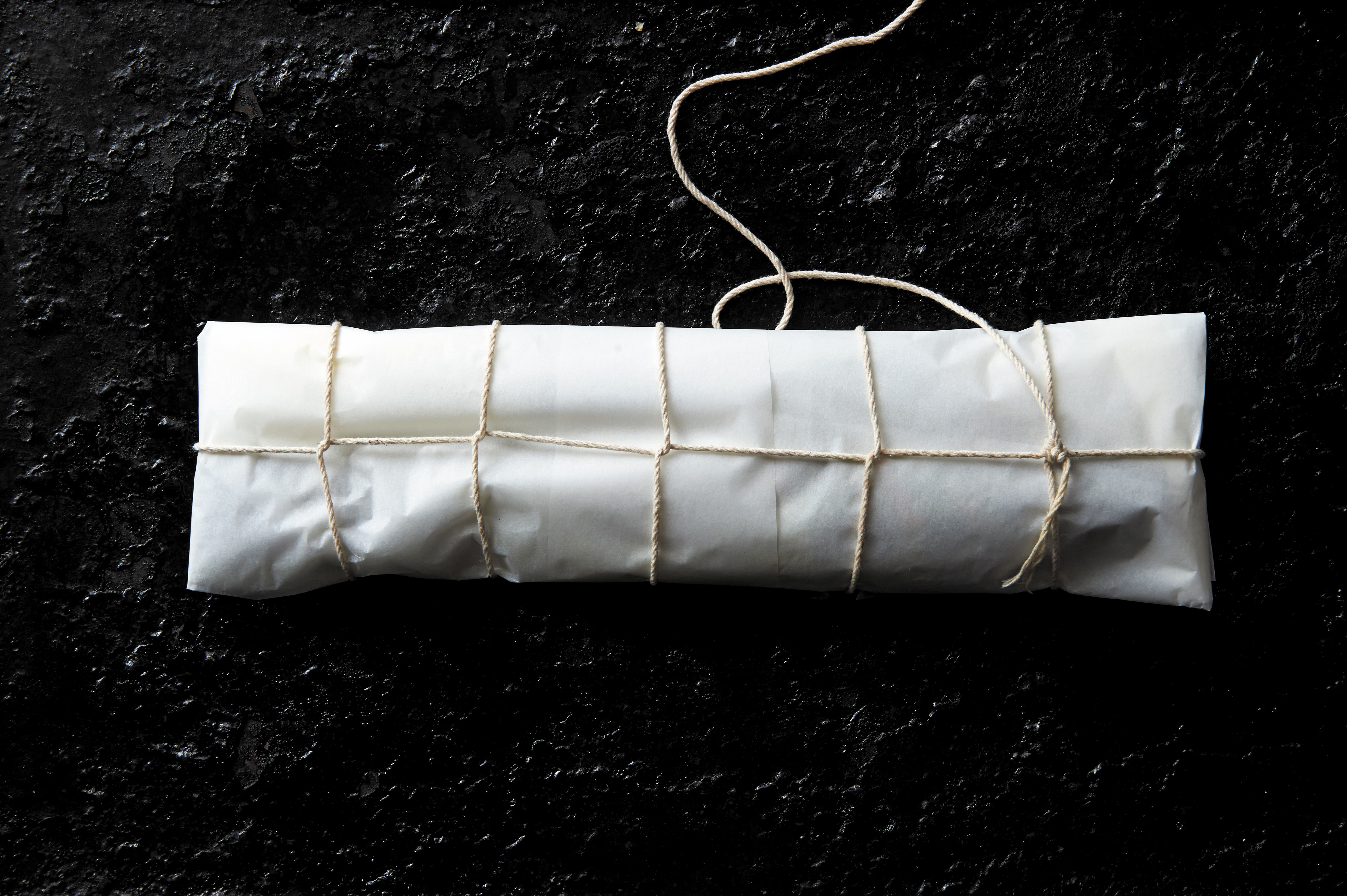 Brook trout in paper