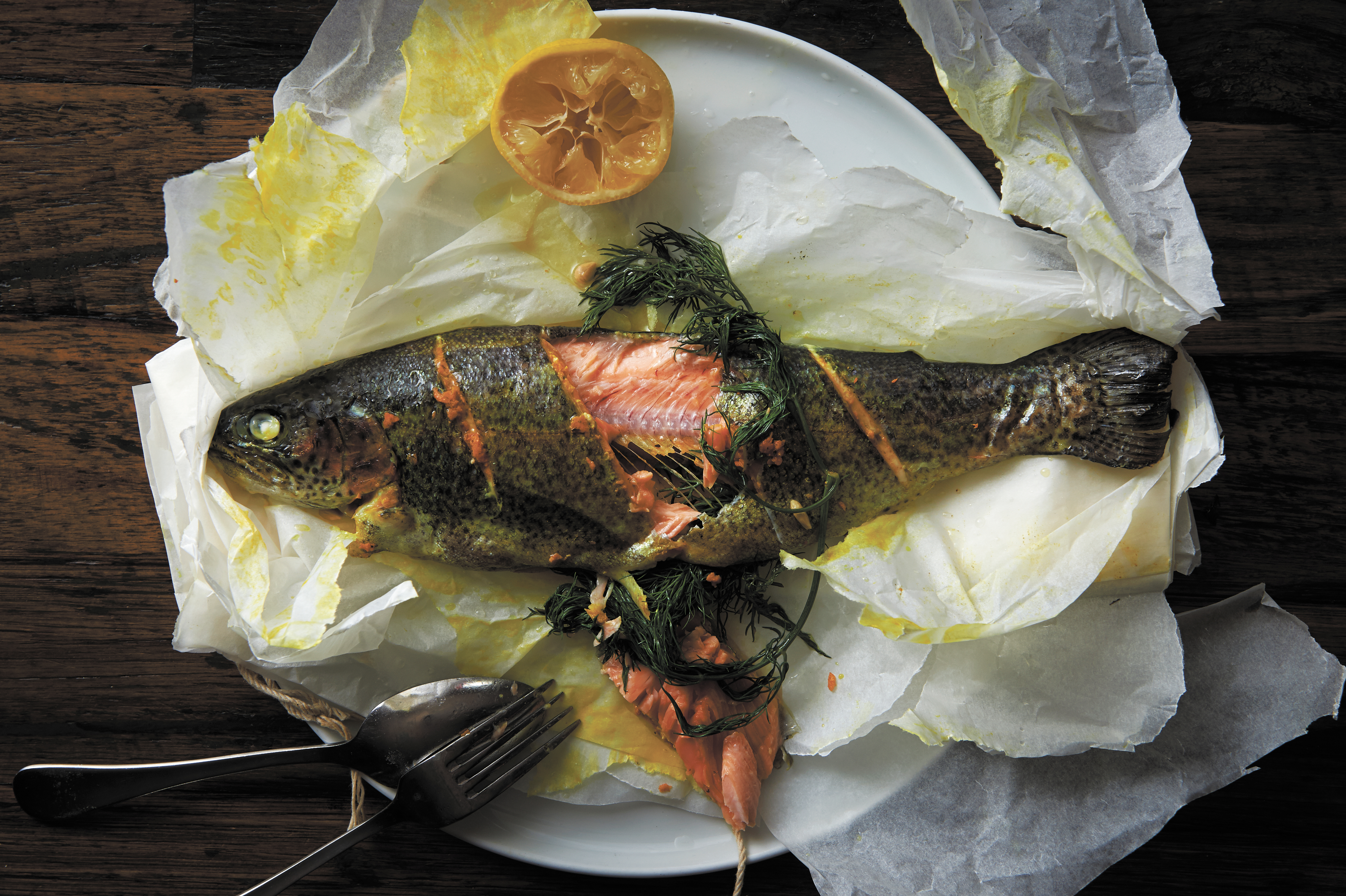 Brook trout in paper
