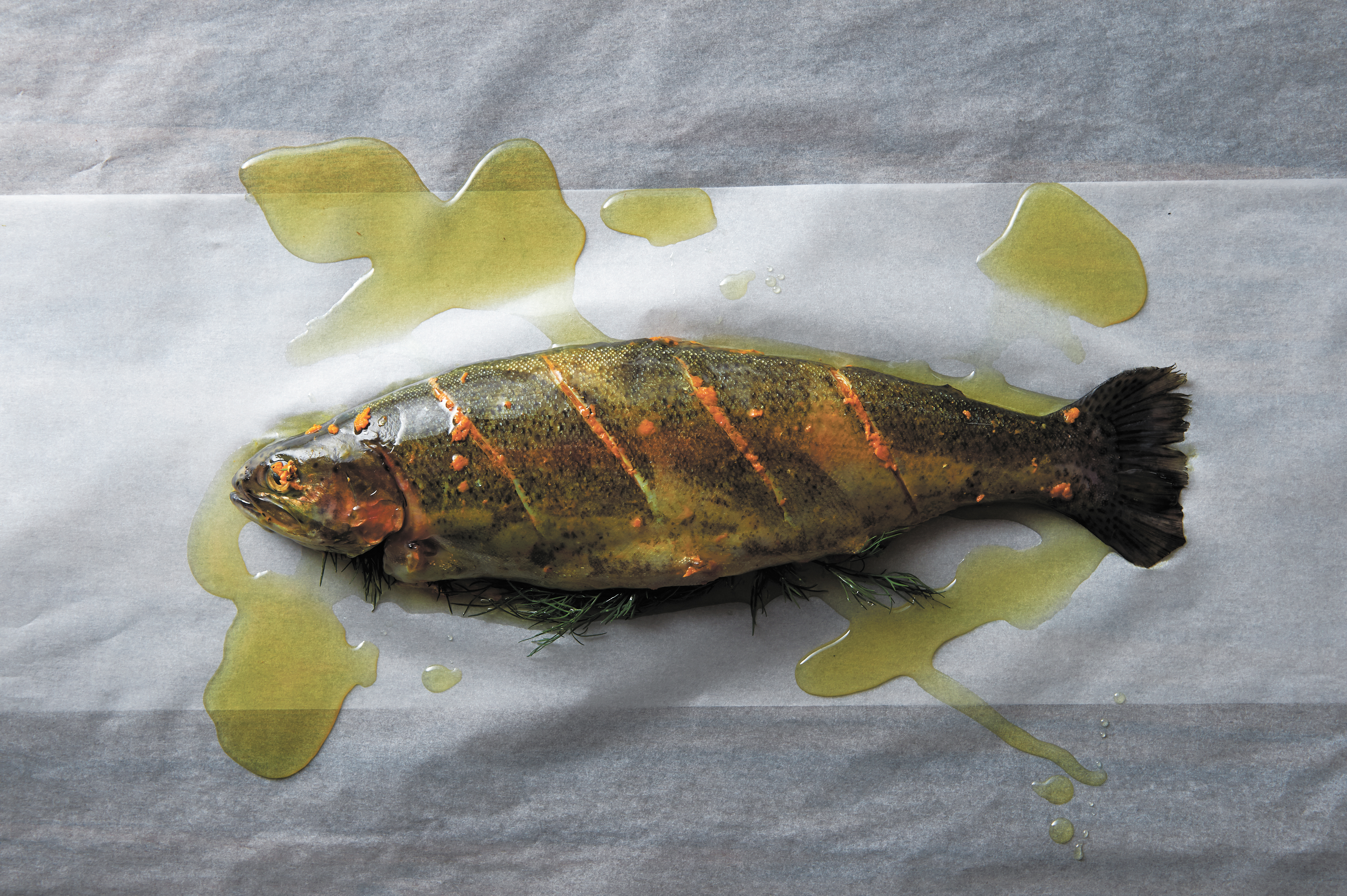 Brook trout in paper
