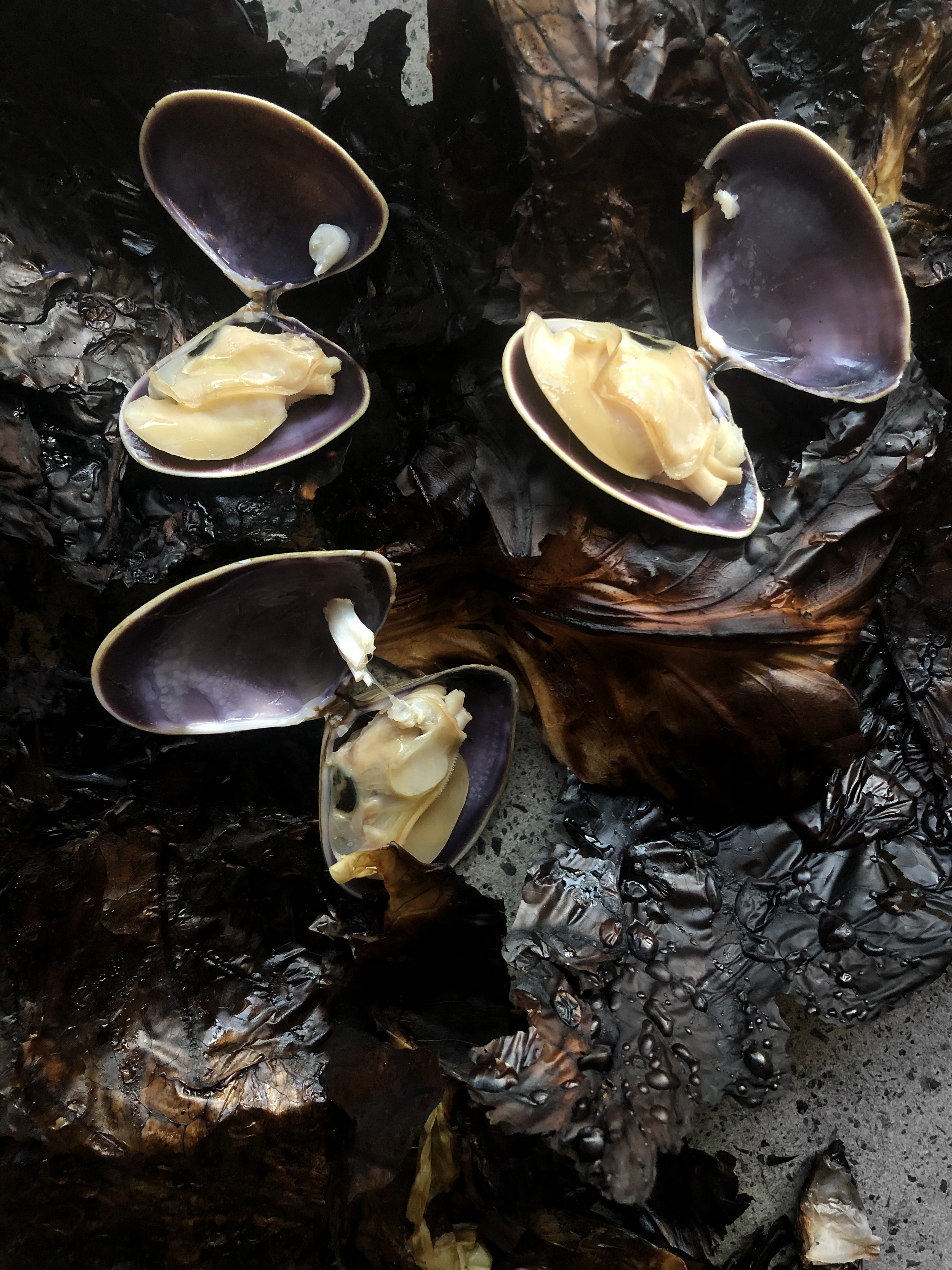Whole roasted cabbage with smoked pipis and garlic cream