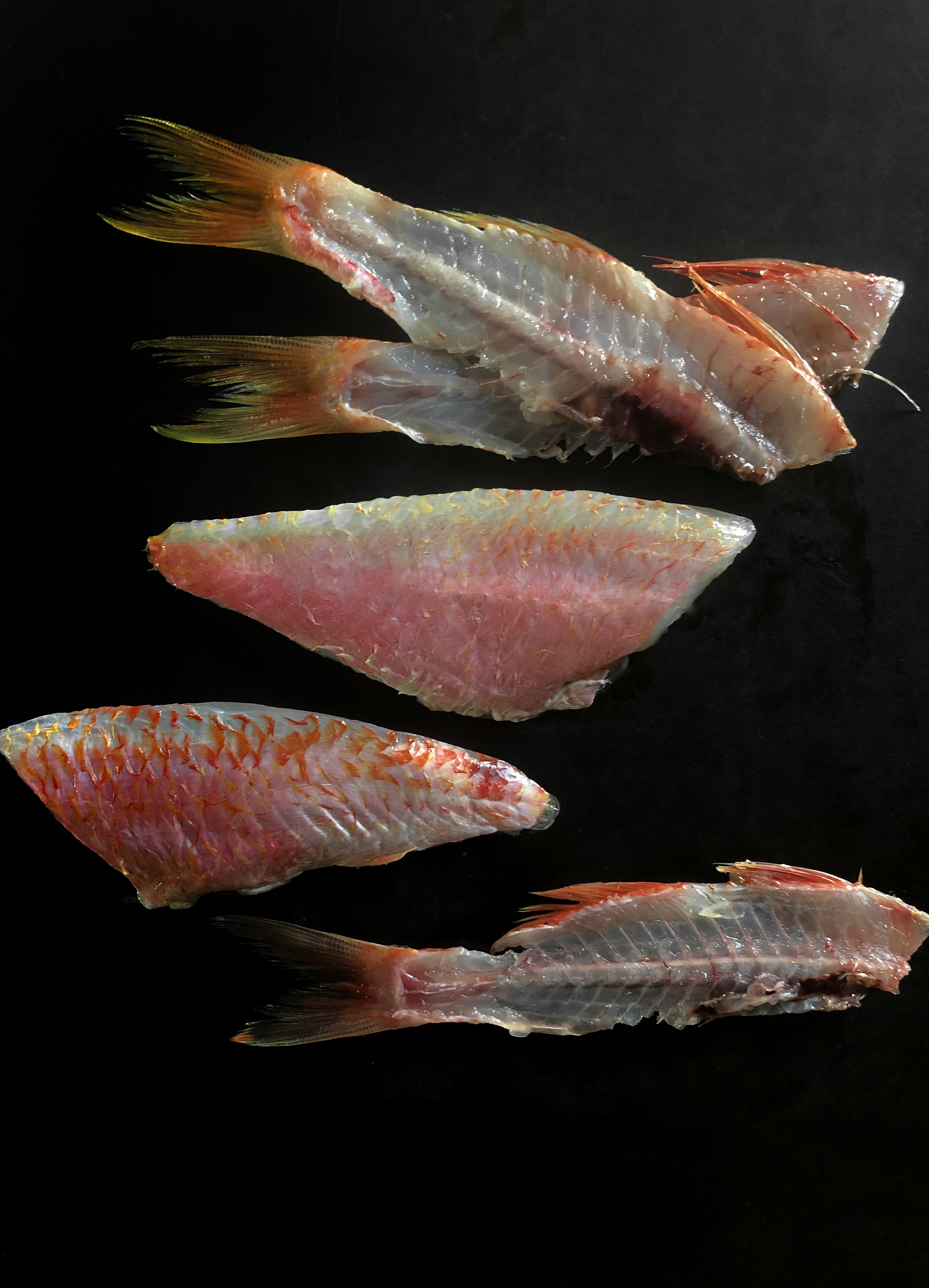 Red mullet escabeche