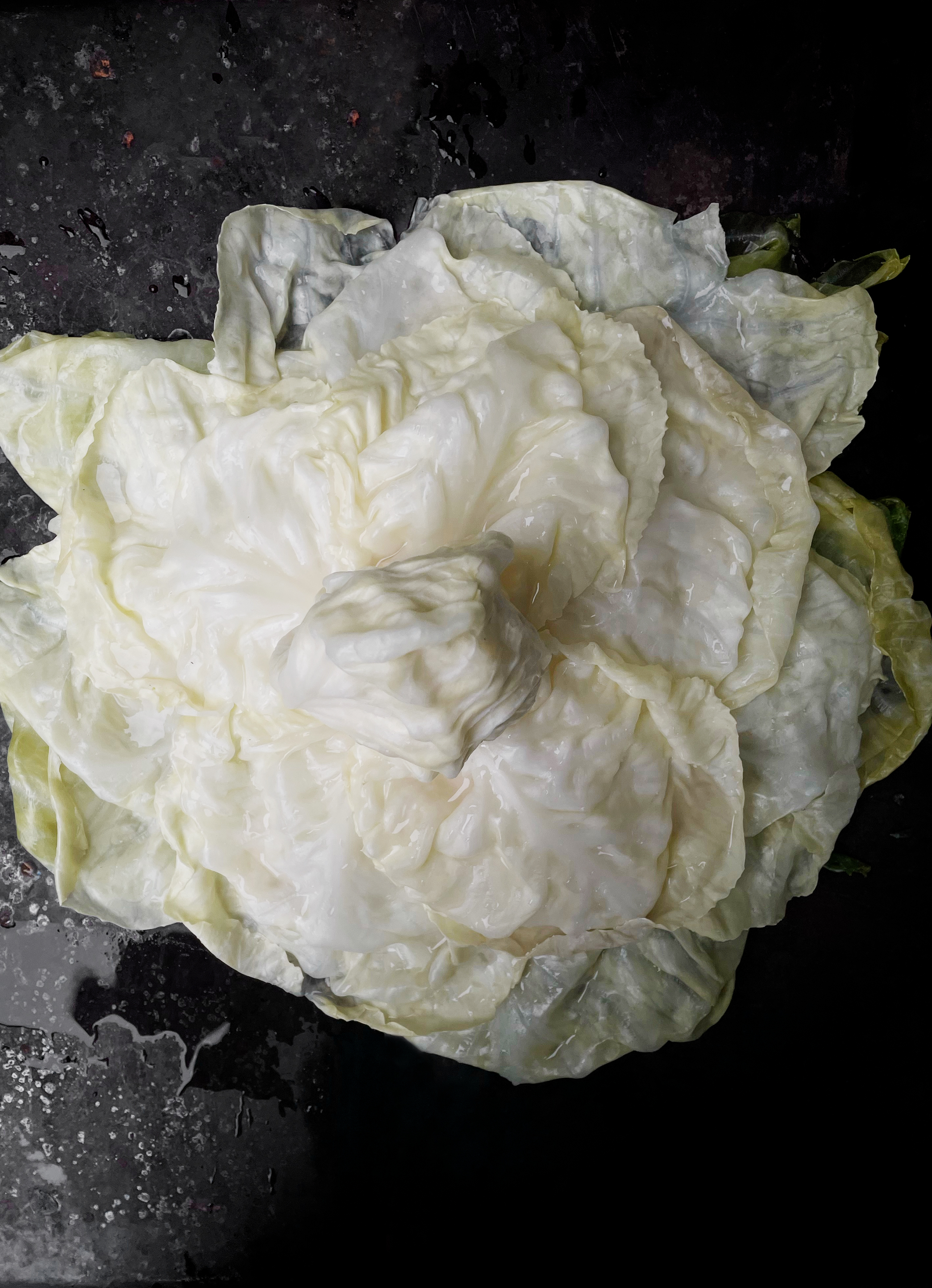 Chou farci (stuffed cabbage)