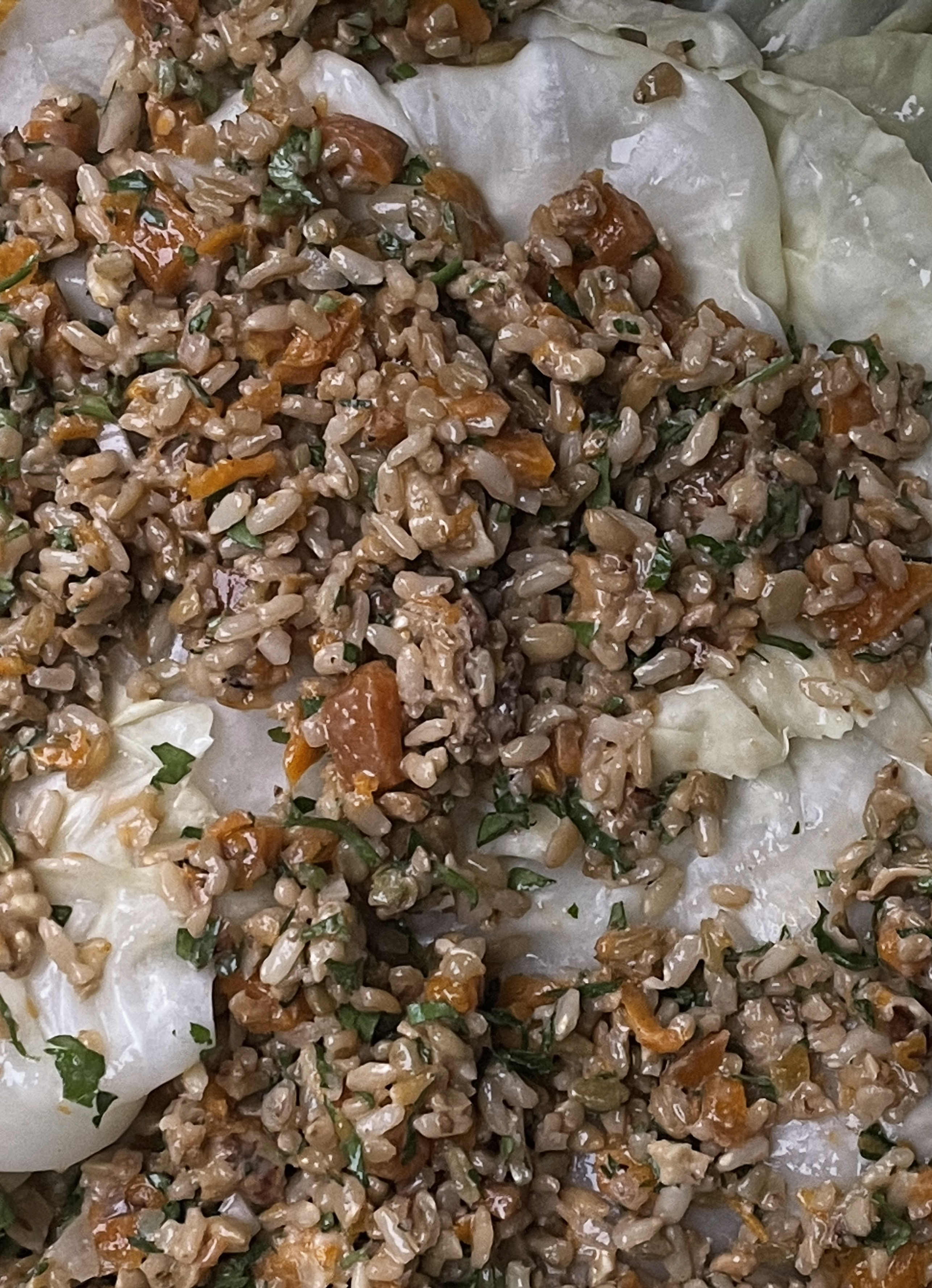 Chou farci (stuffed cabbage)