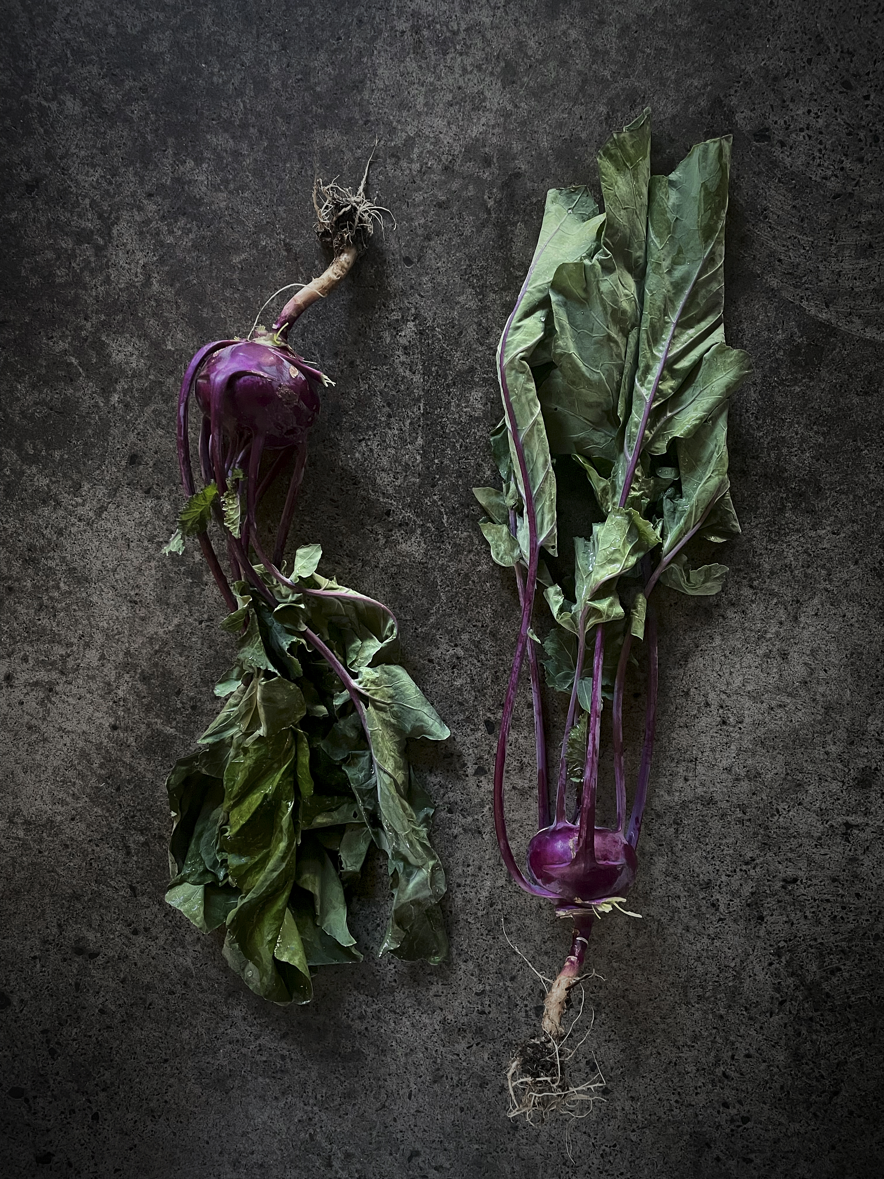 Roasted kohlrabi with lamb and prune sauce, and raw kohlrabi with macadamia cream
