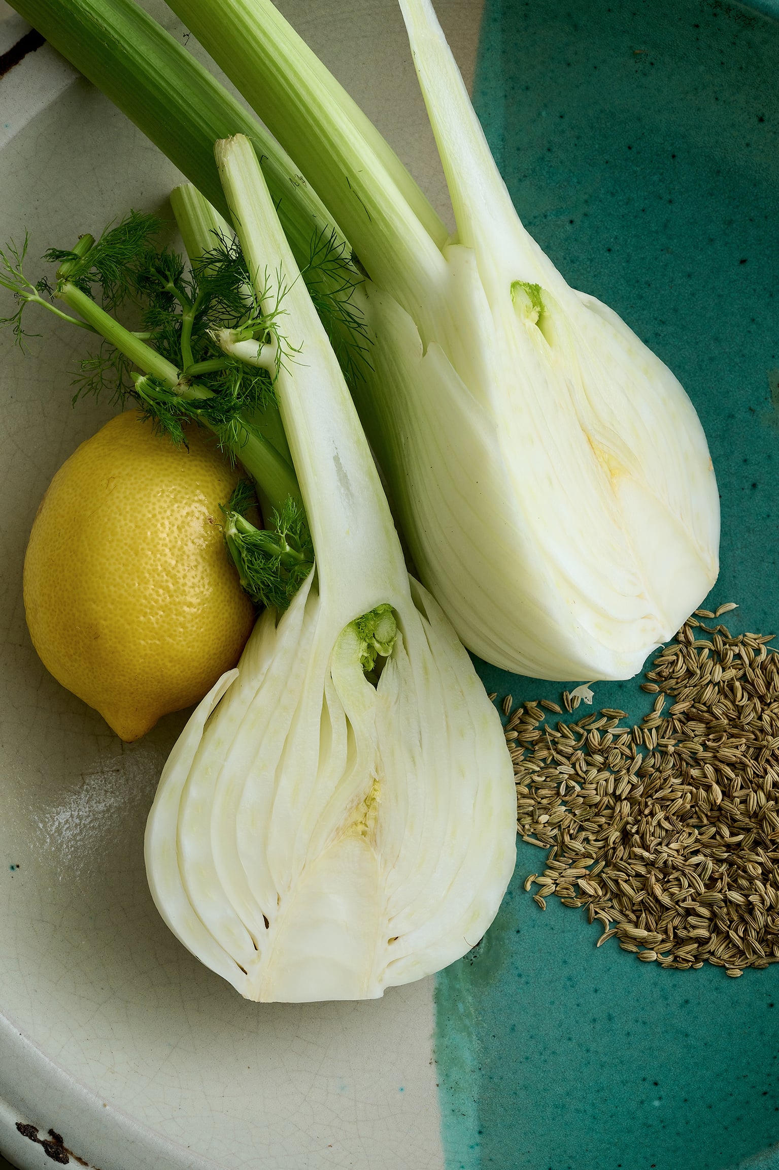 Fennel marmalata with shaved fennel and burrata salad