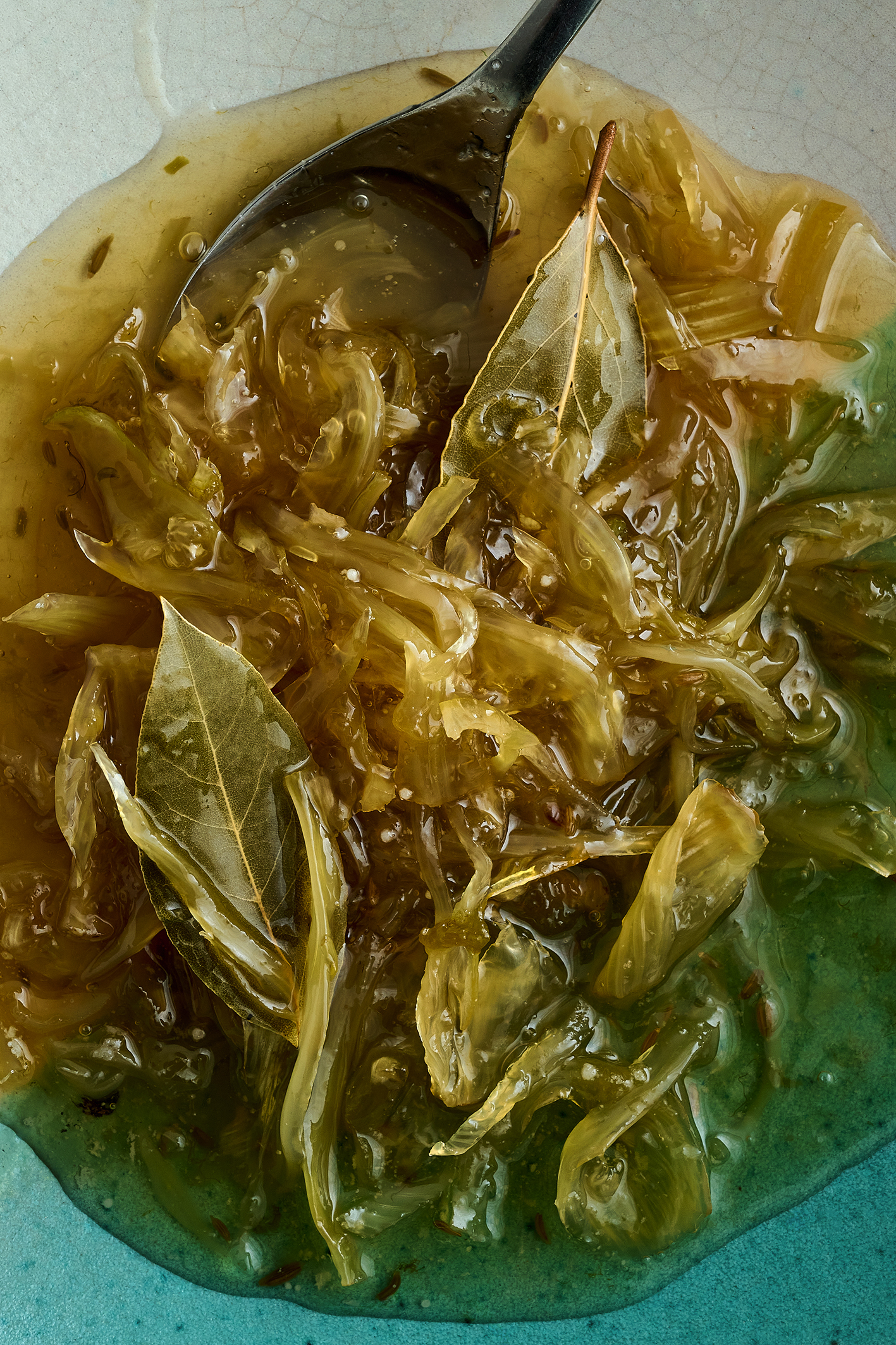 Fennel marmalata with shaved fennel and burrata salad