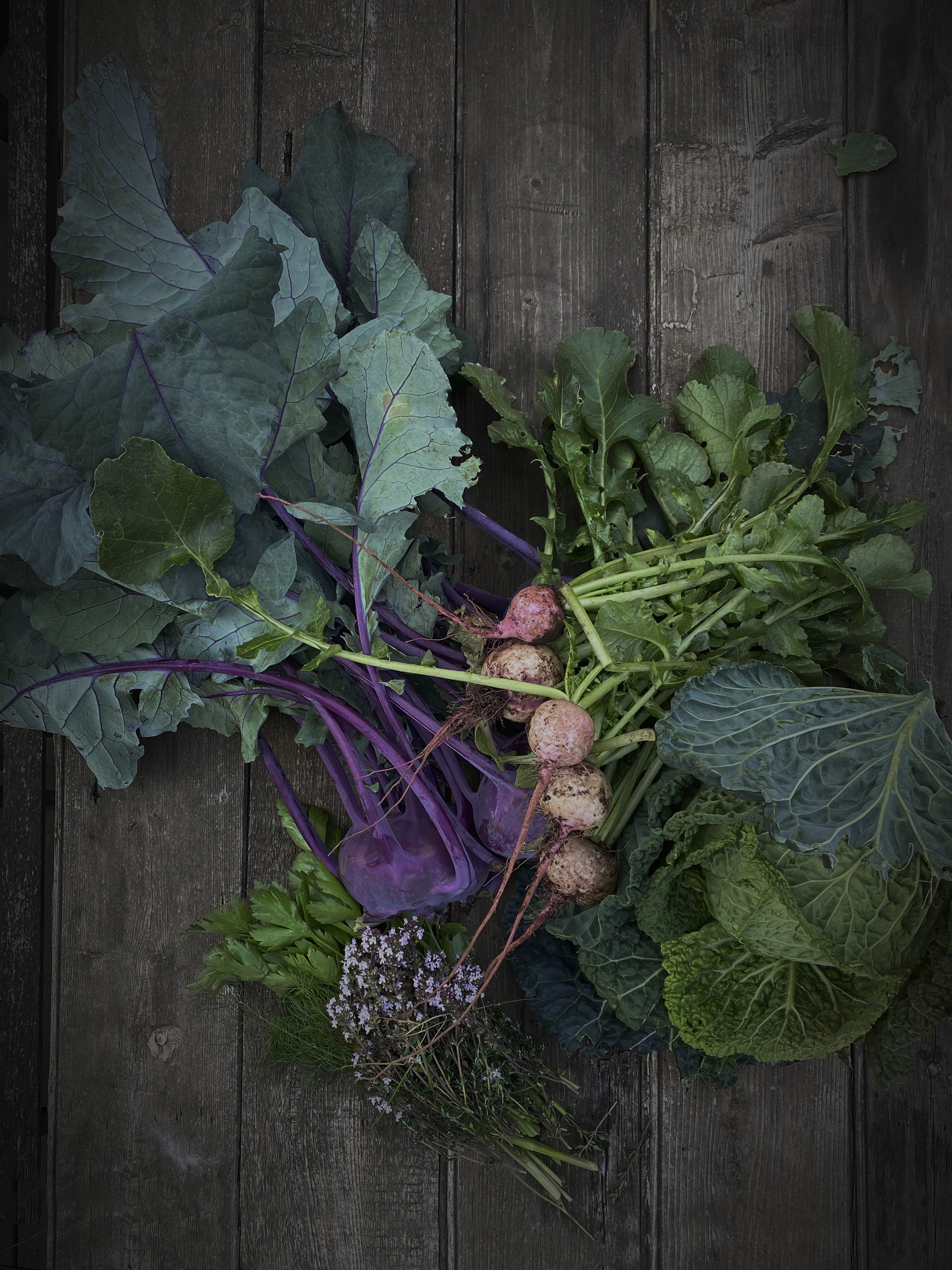 Roasted autumn vegetables and kohlrabi slaw