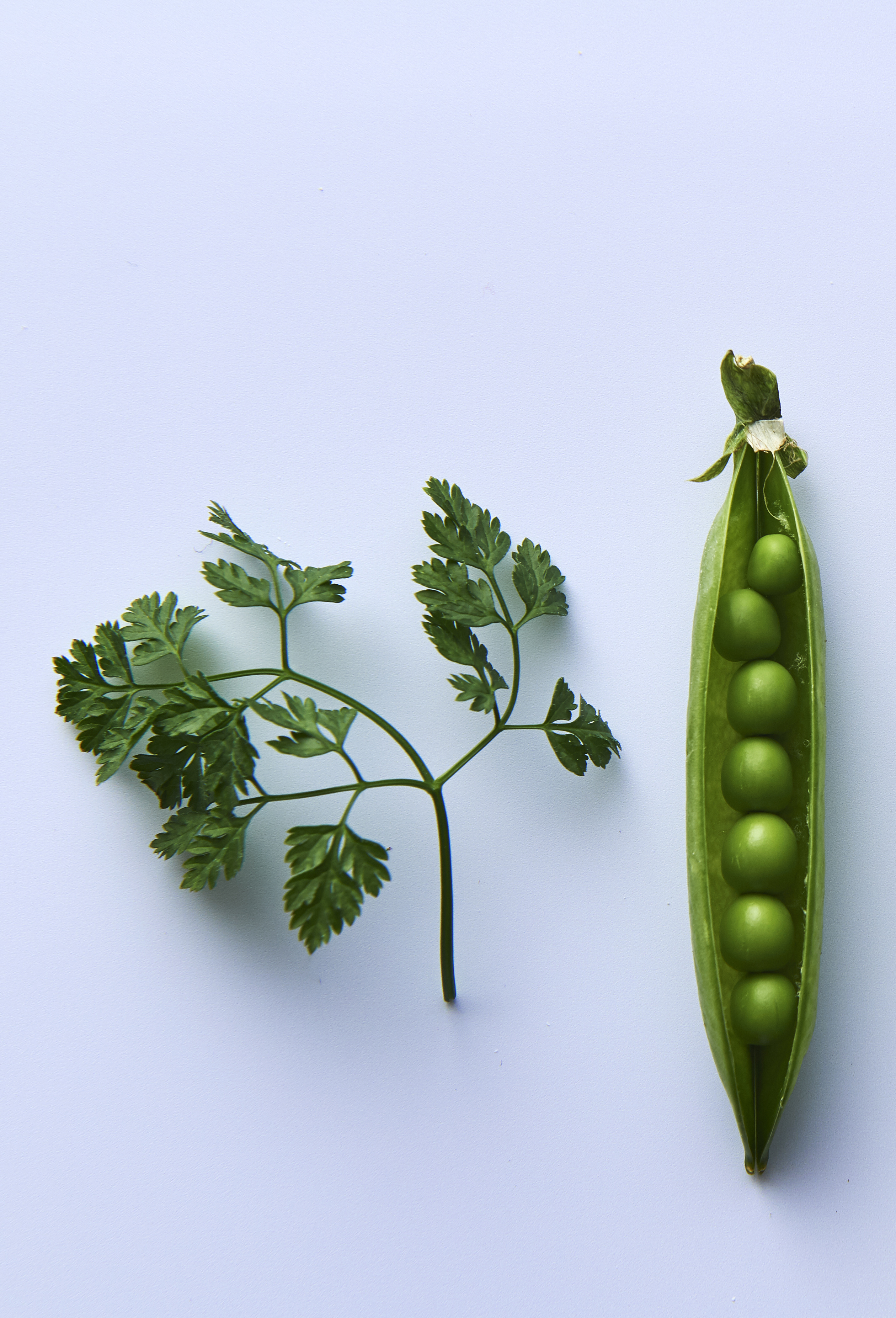 Spring linguini on pea purée