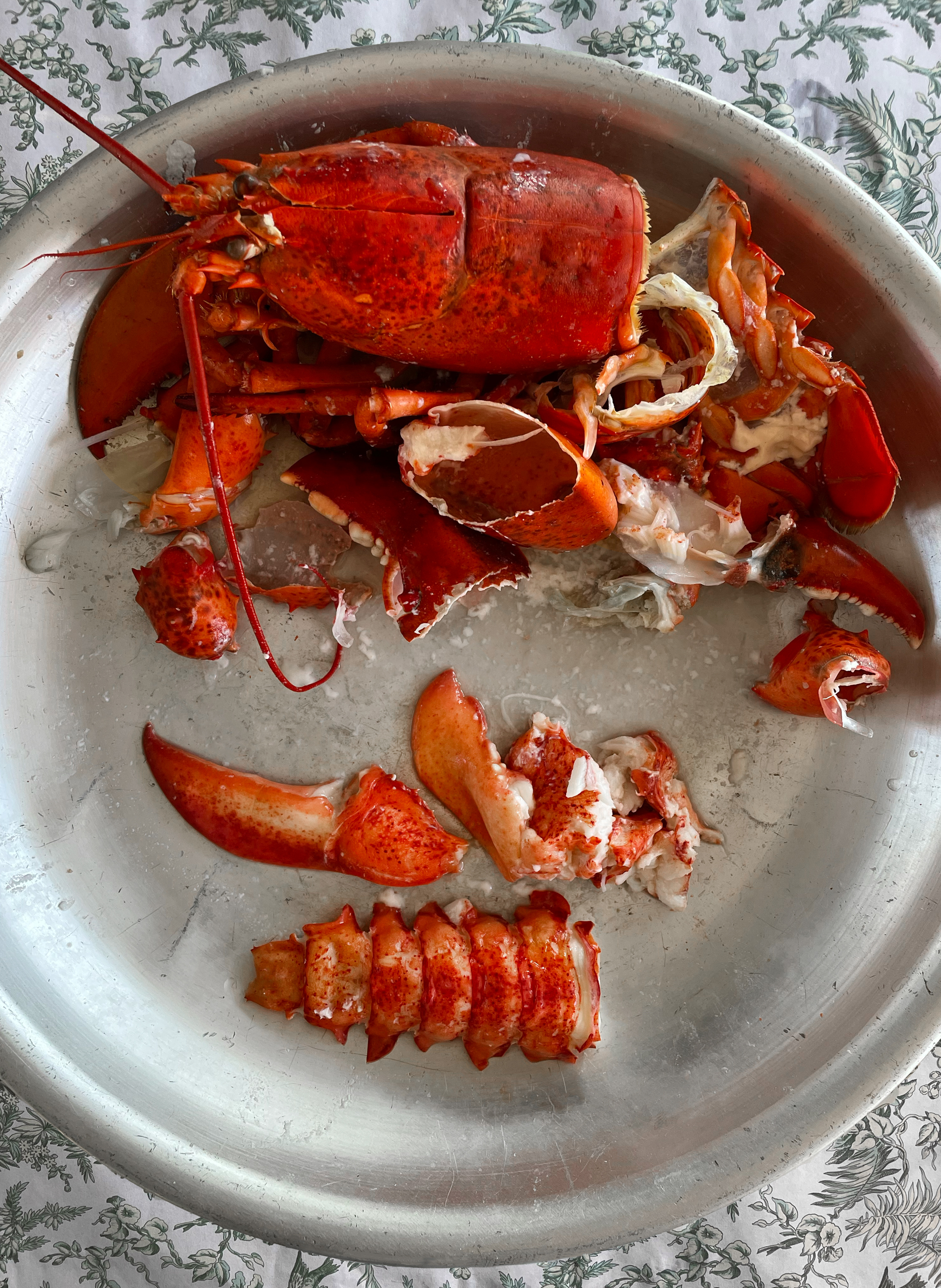 Lobster shell in a bowl