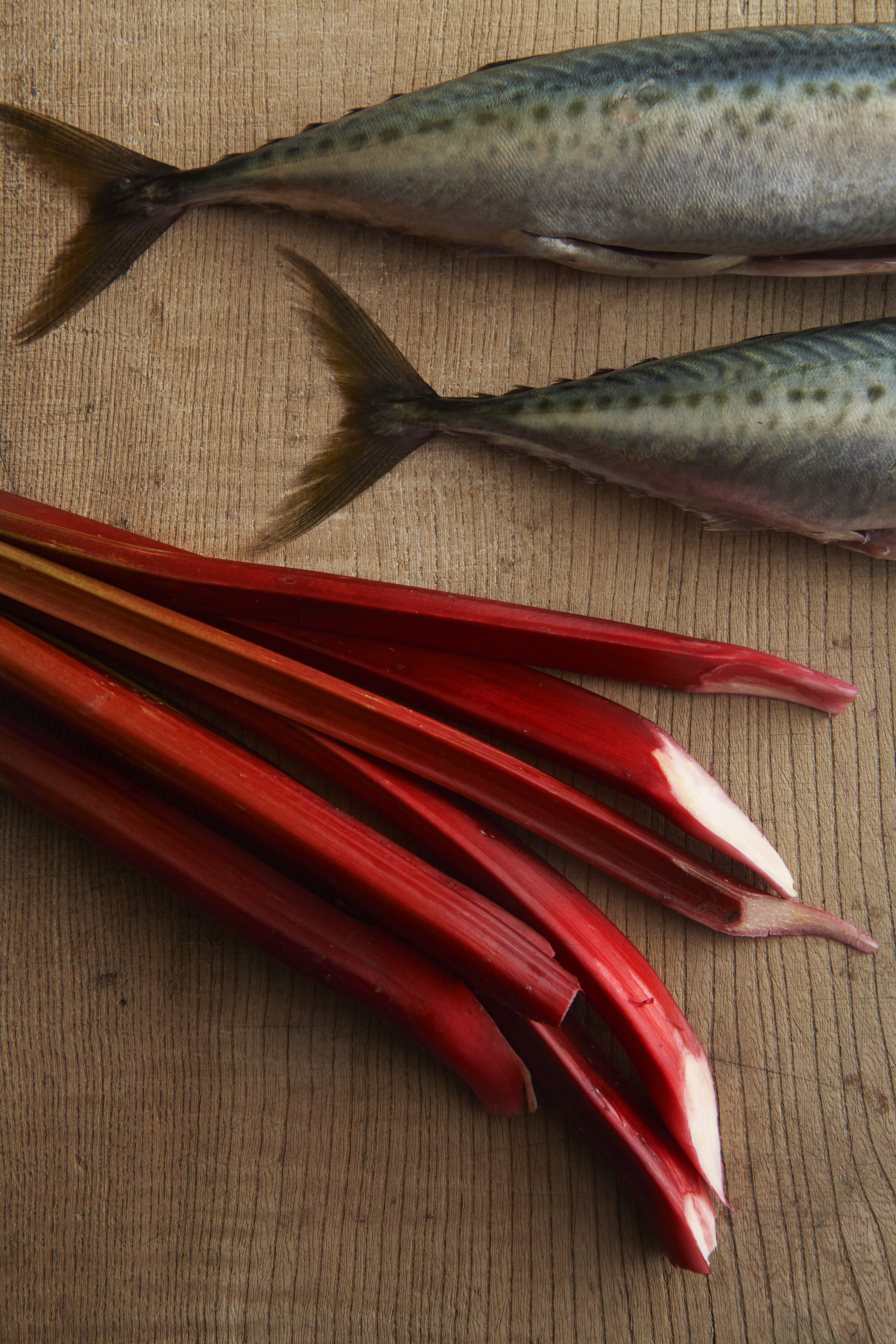 Fried mackerel with rhubarb and capers