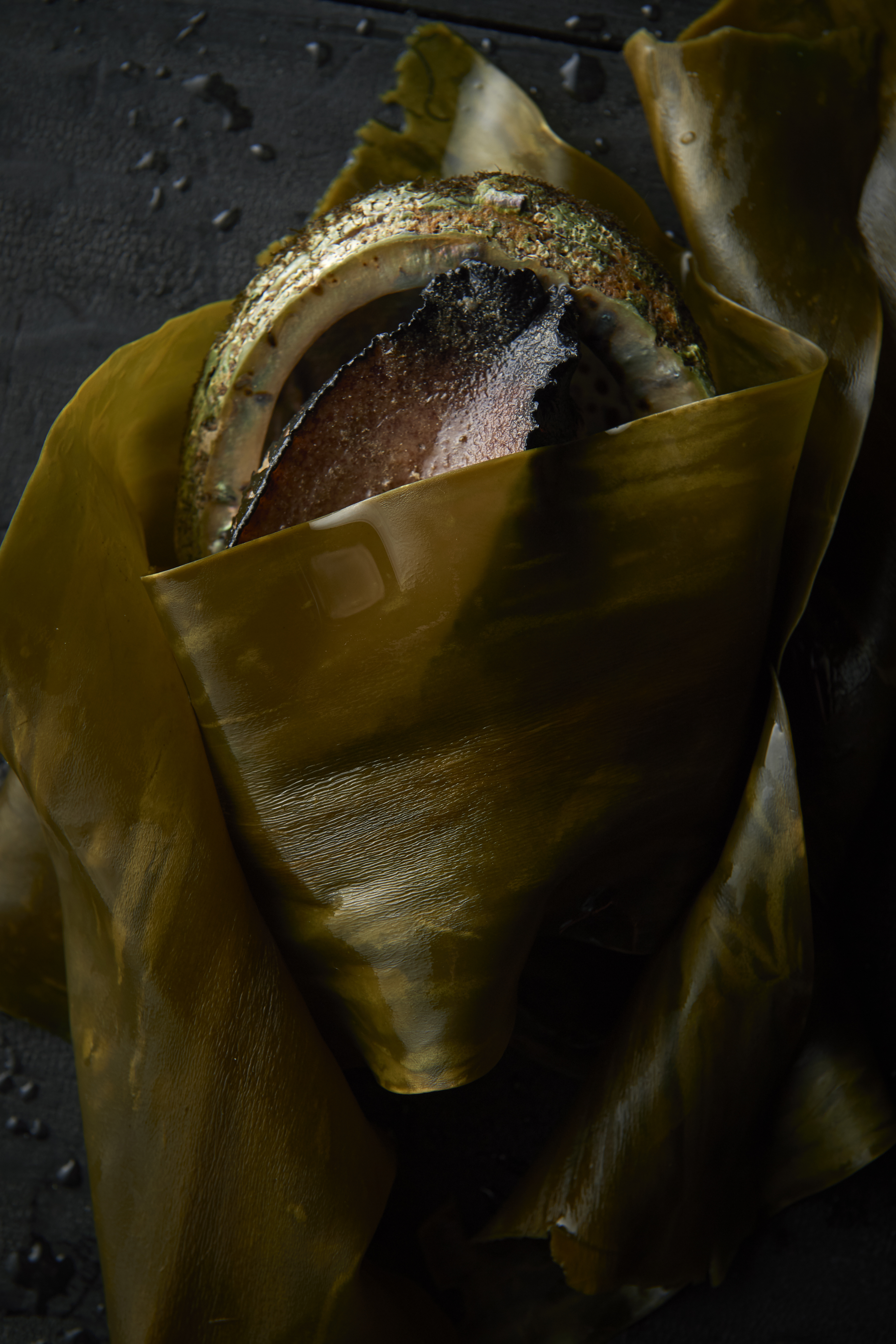Abalone steamed in kelp with black pepper sauce