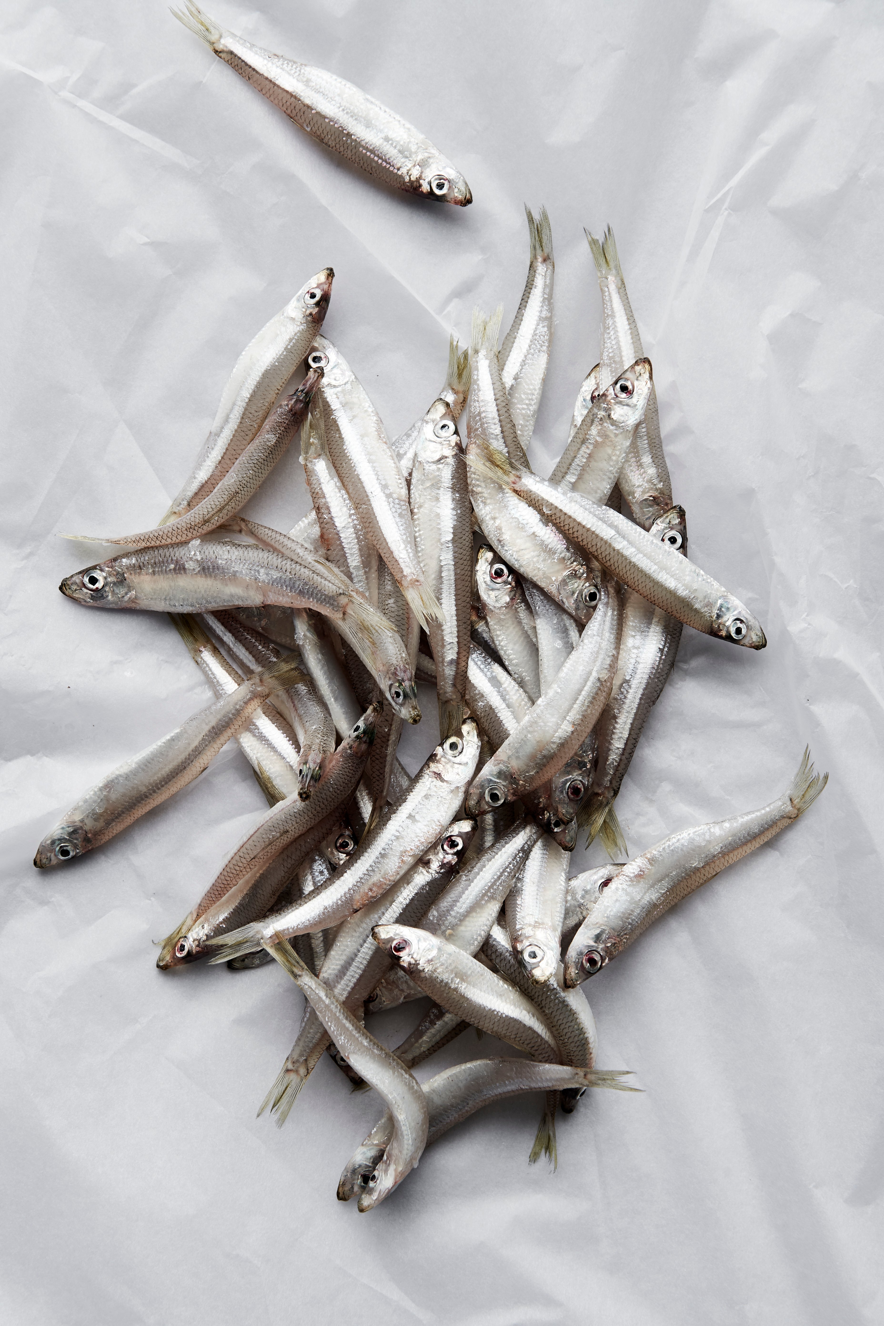 Whitebait fritters