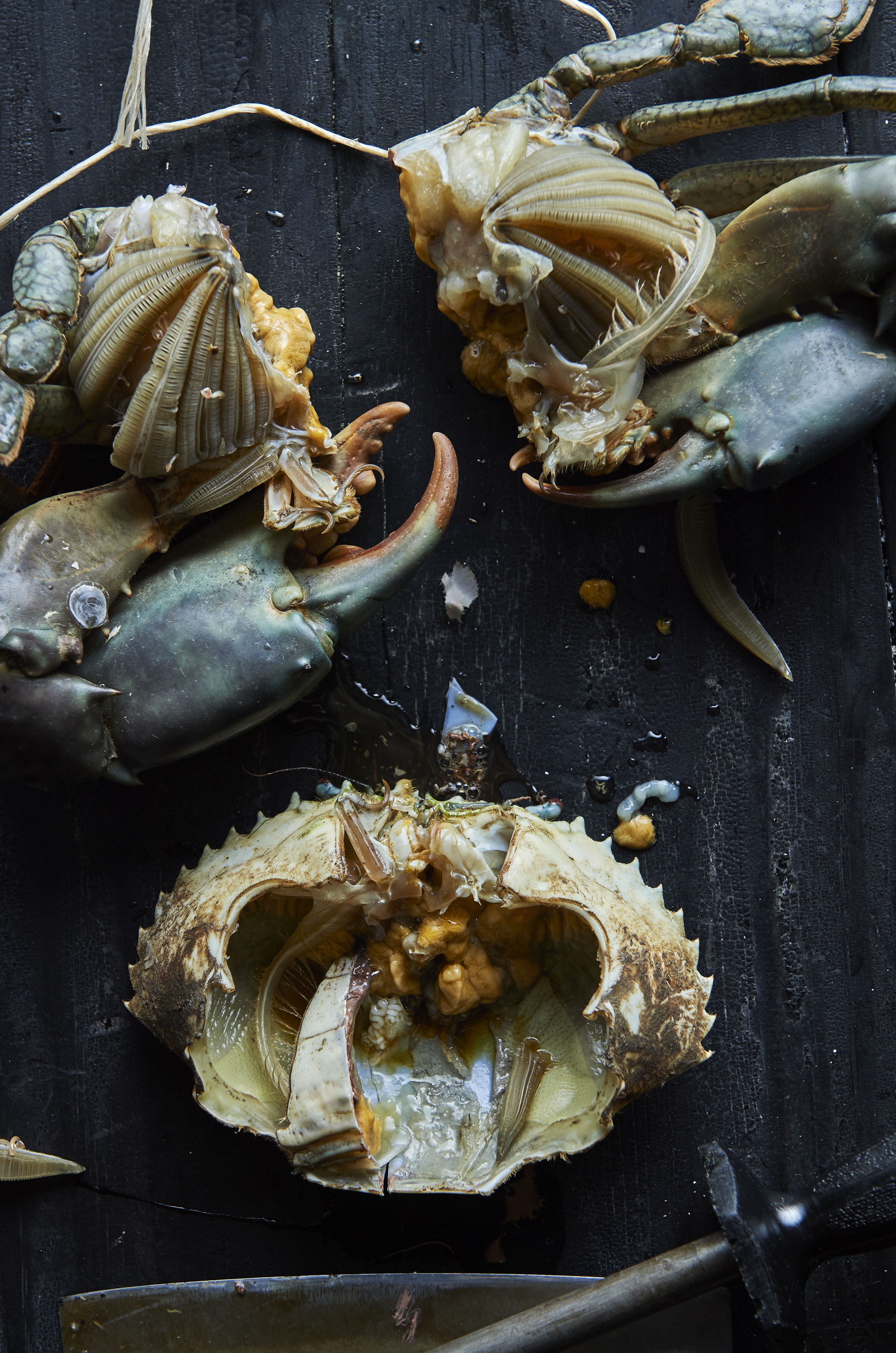 Grilled mud crab with curry butter