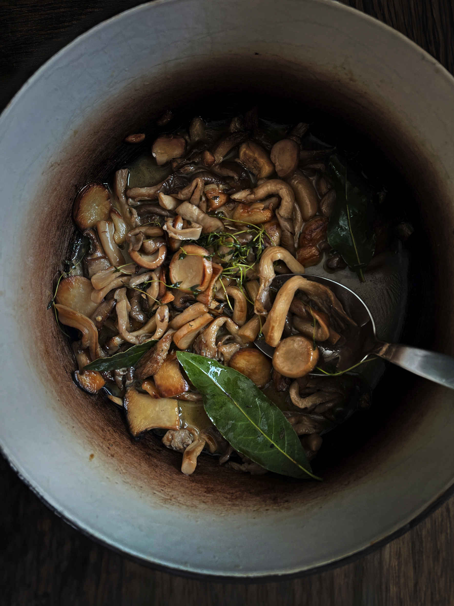 Braised mushrooms, soft polenta and taleggio