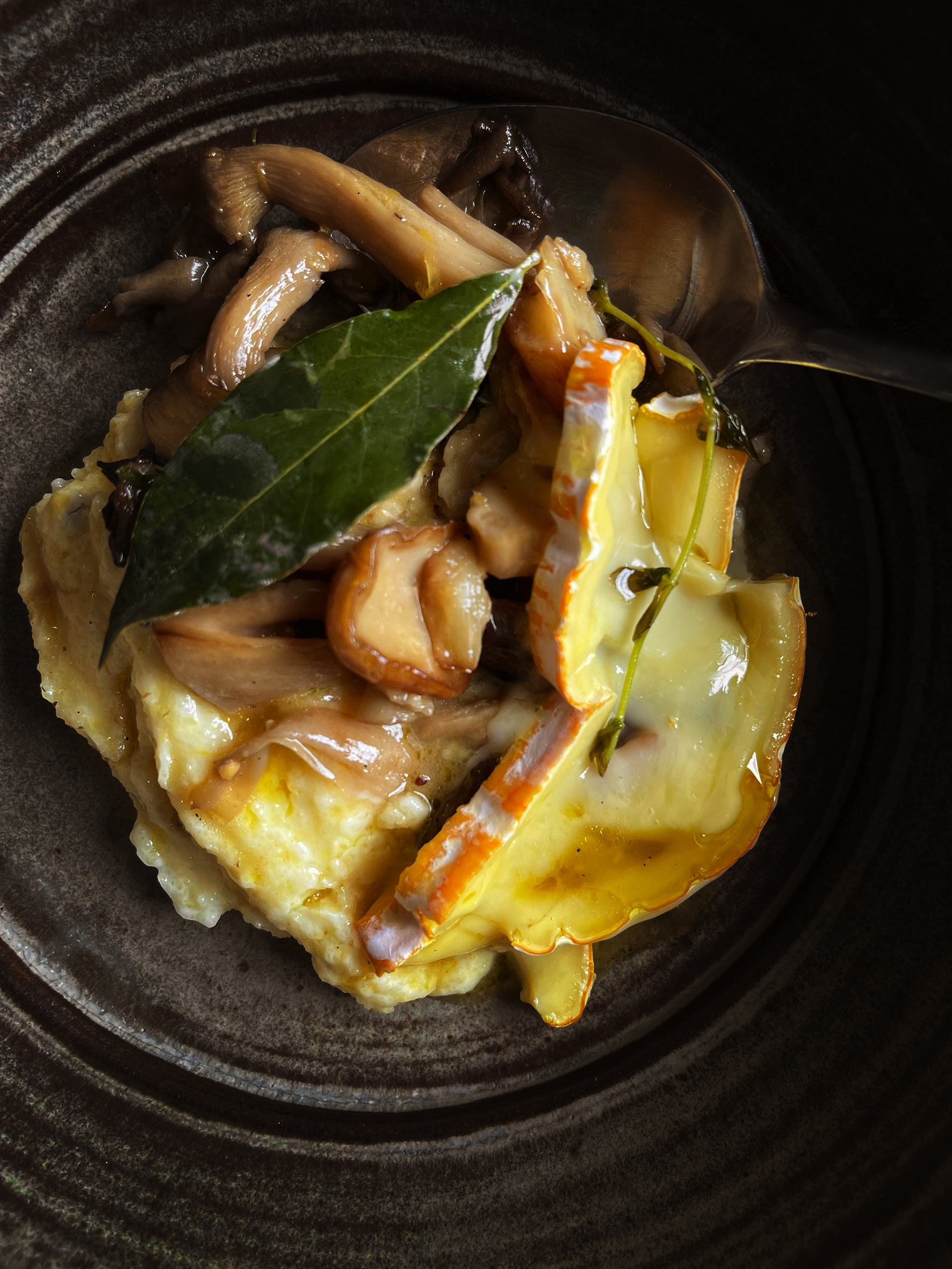 Braised mushrooms, soft polenta and taleggio