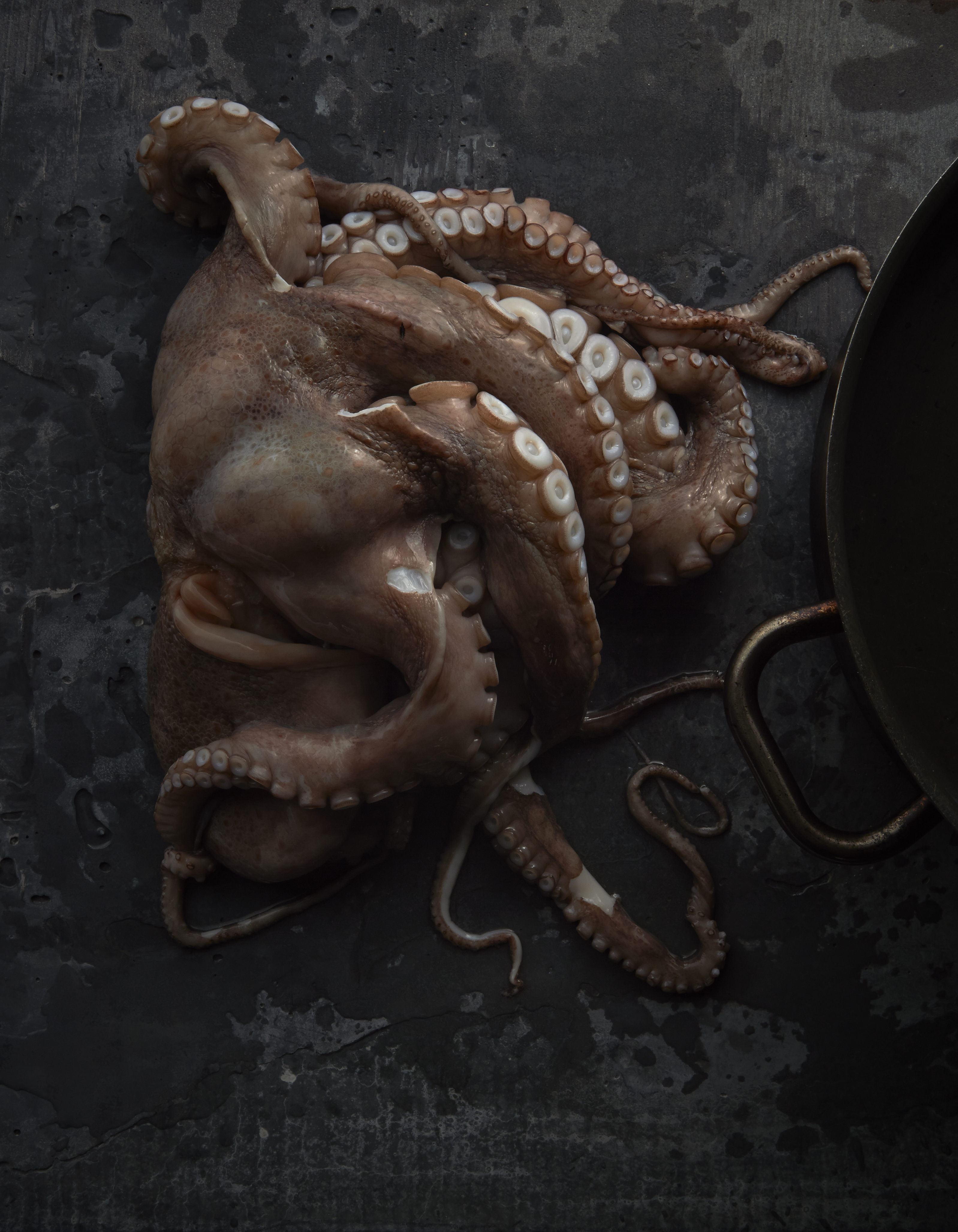 Cooked and dressed octopus