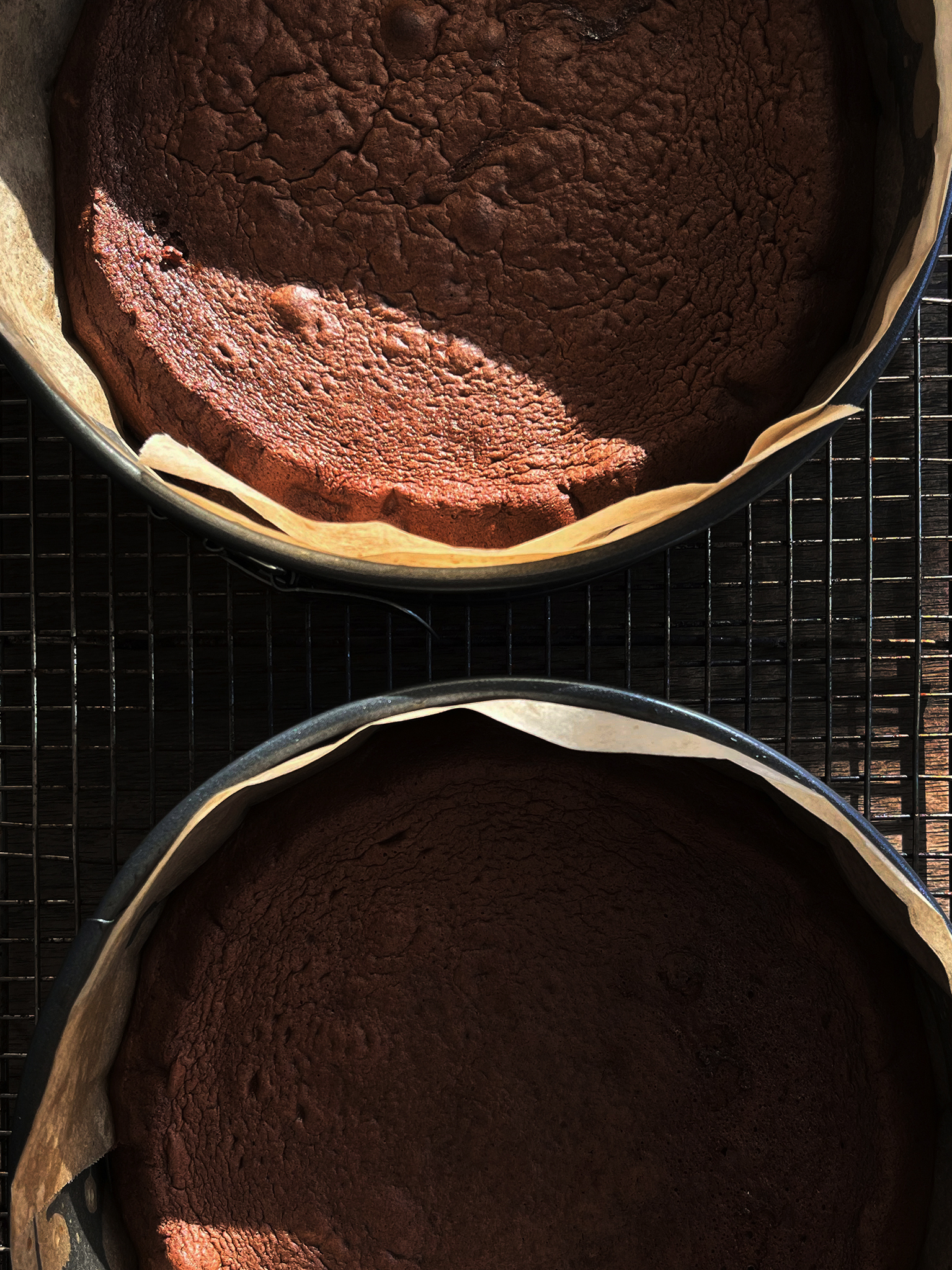 Flourless chocolate sponge with coconut and coffee cream