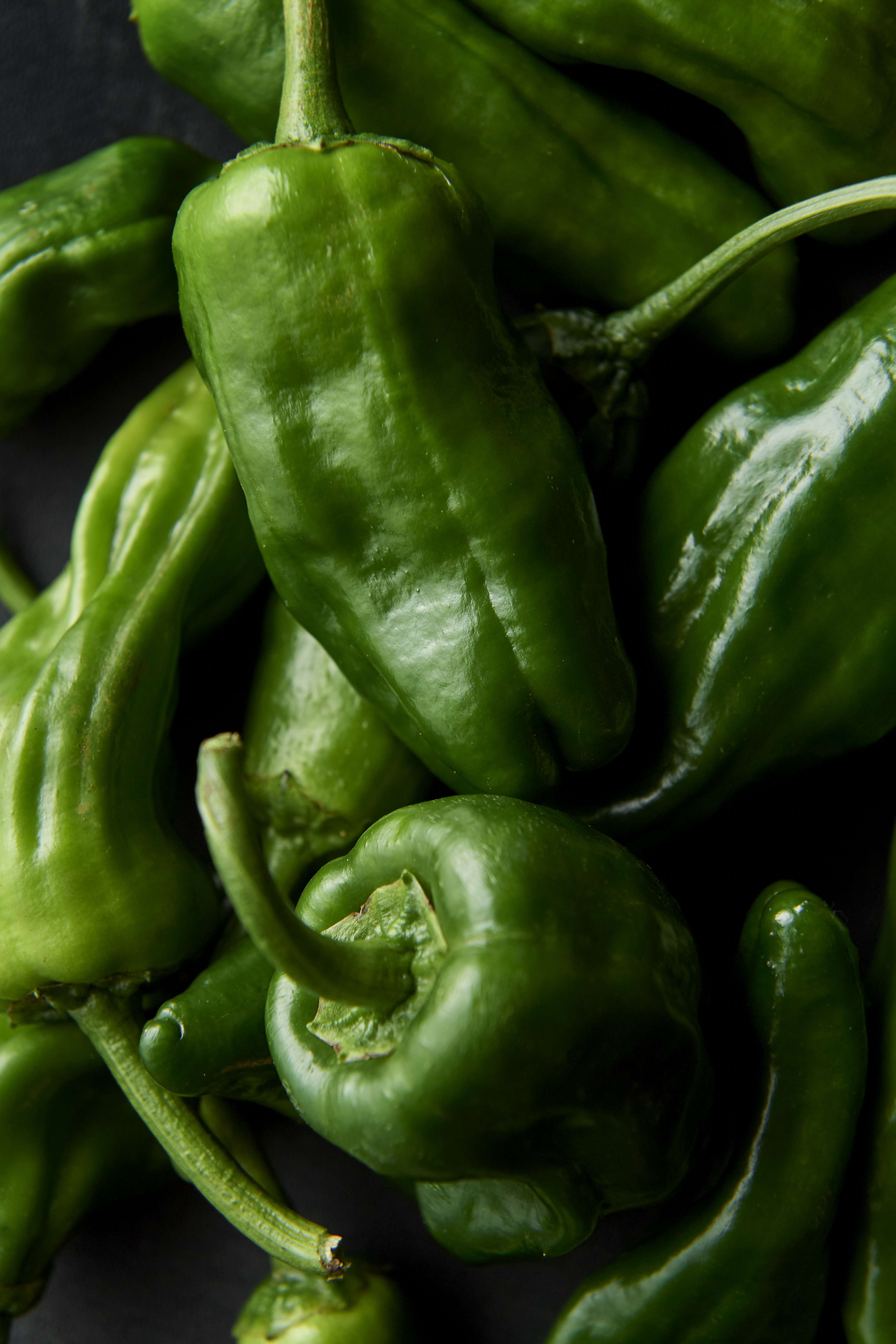 Padrón peppers with tomato bread and aioli