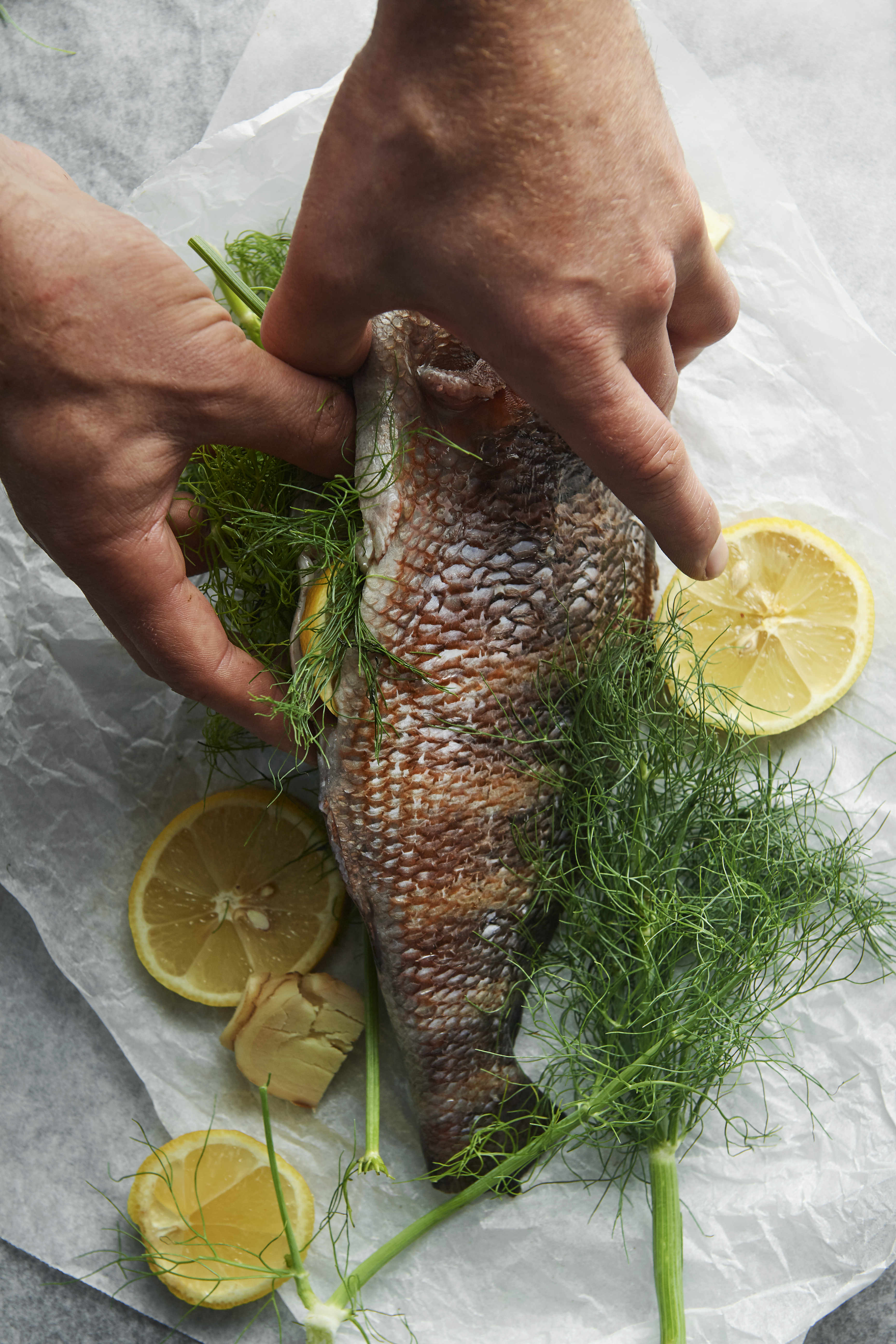 Banded morwong en papillote