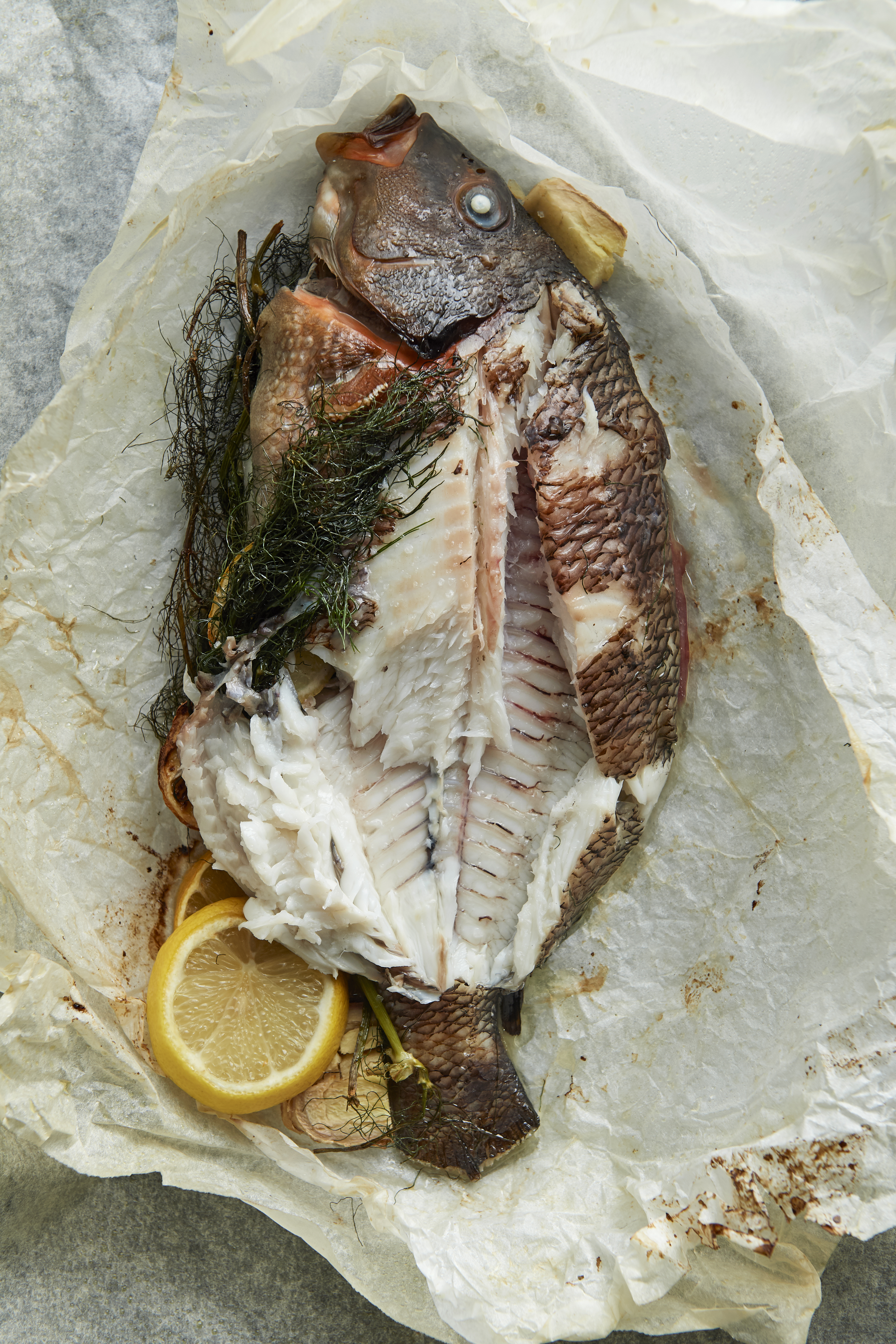 Banded morwong en papillote