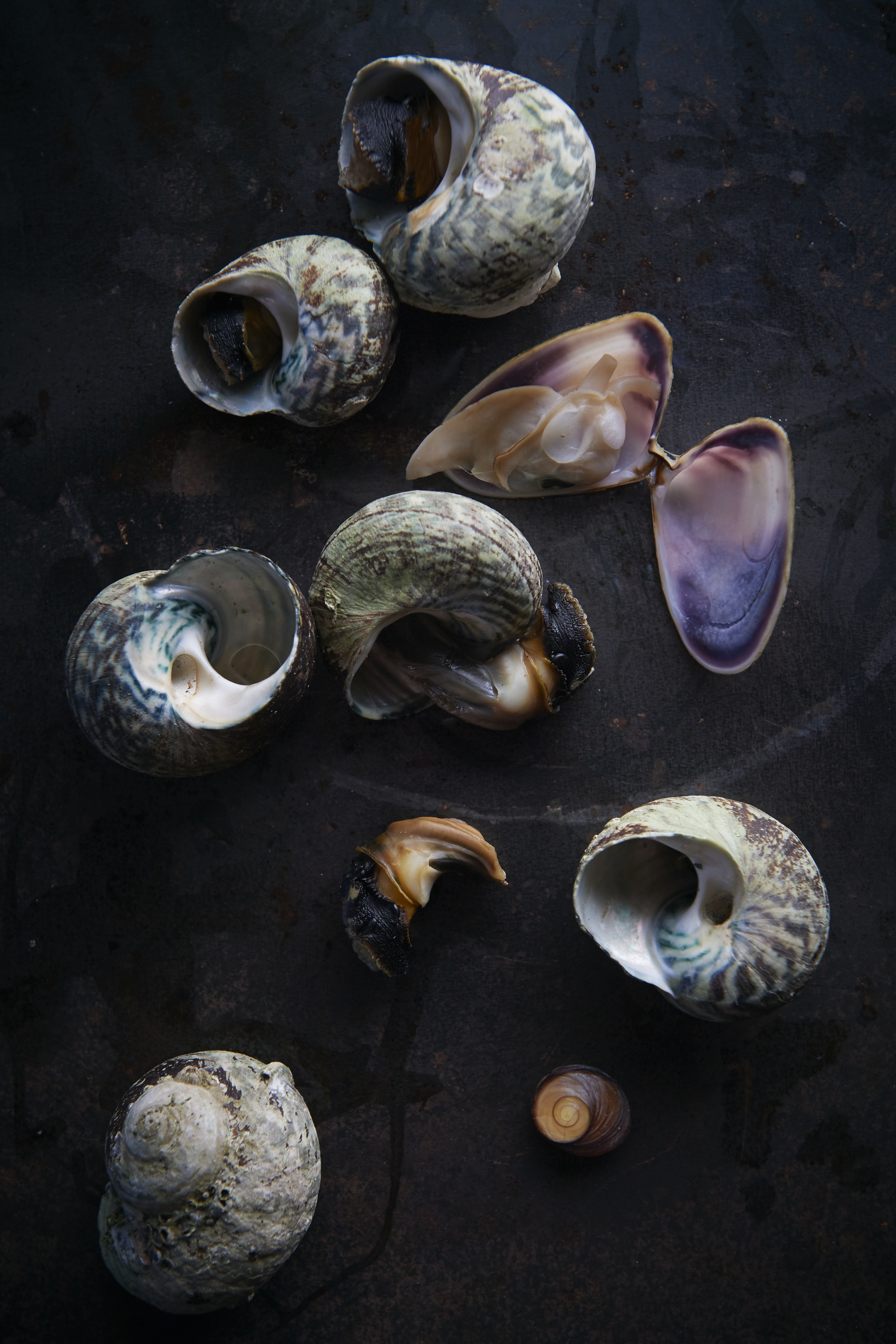 Pipis and periwinkles with new potatoes and seaweed butter