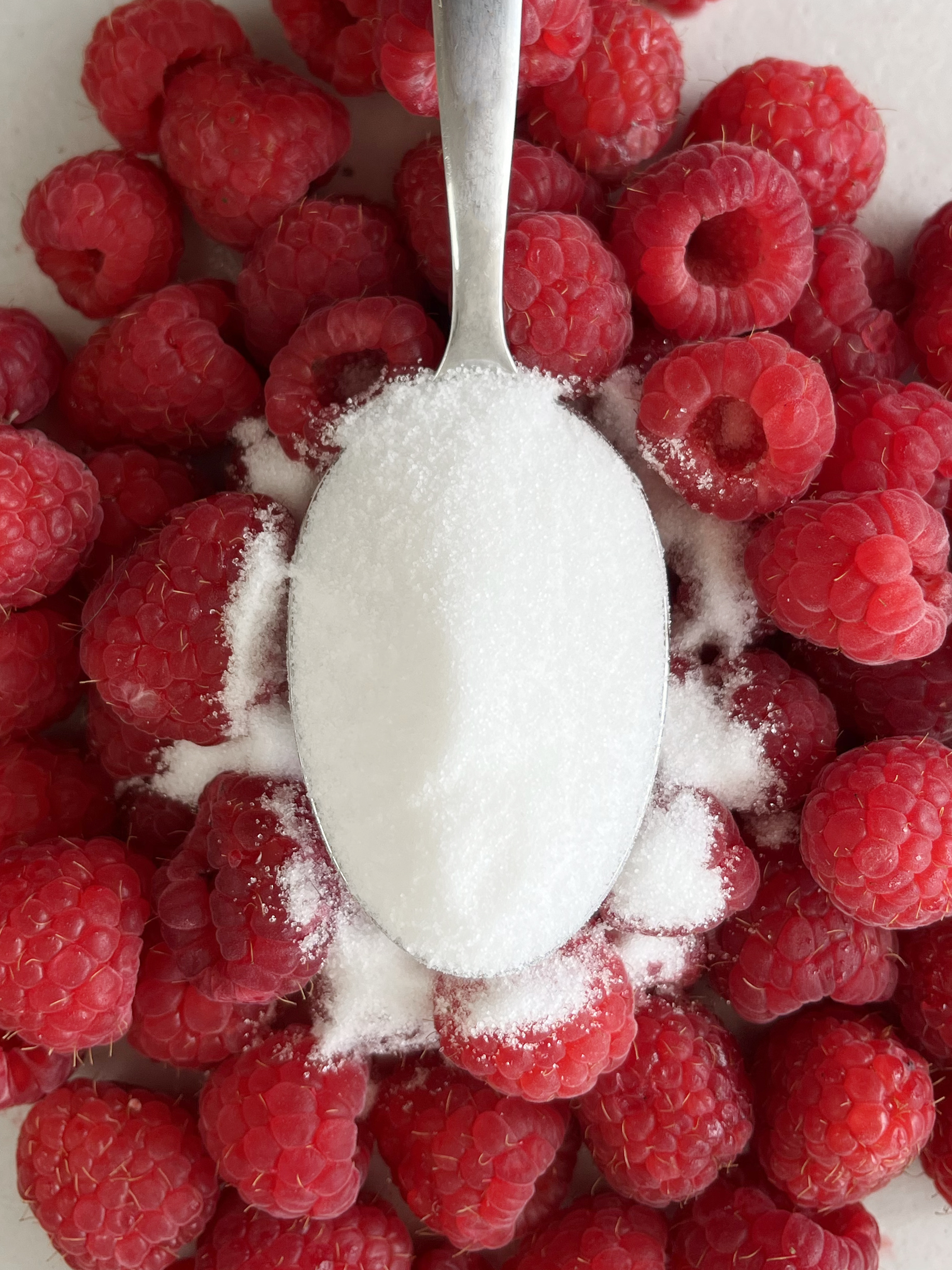 Raspberry fool