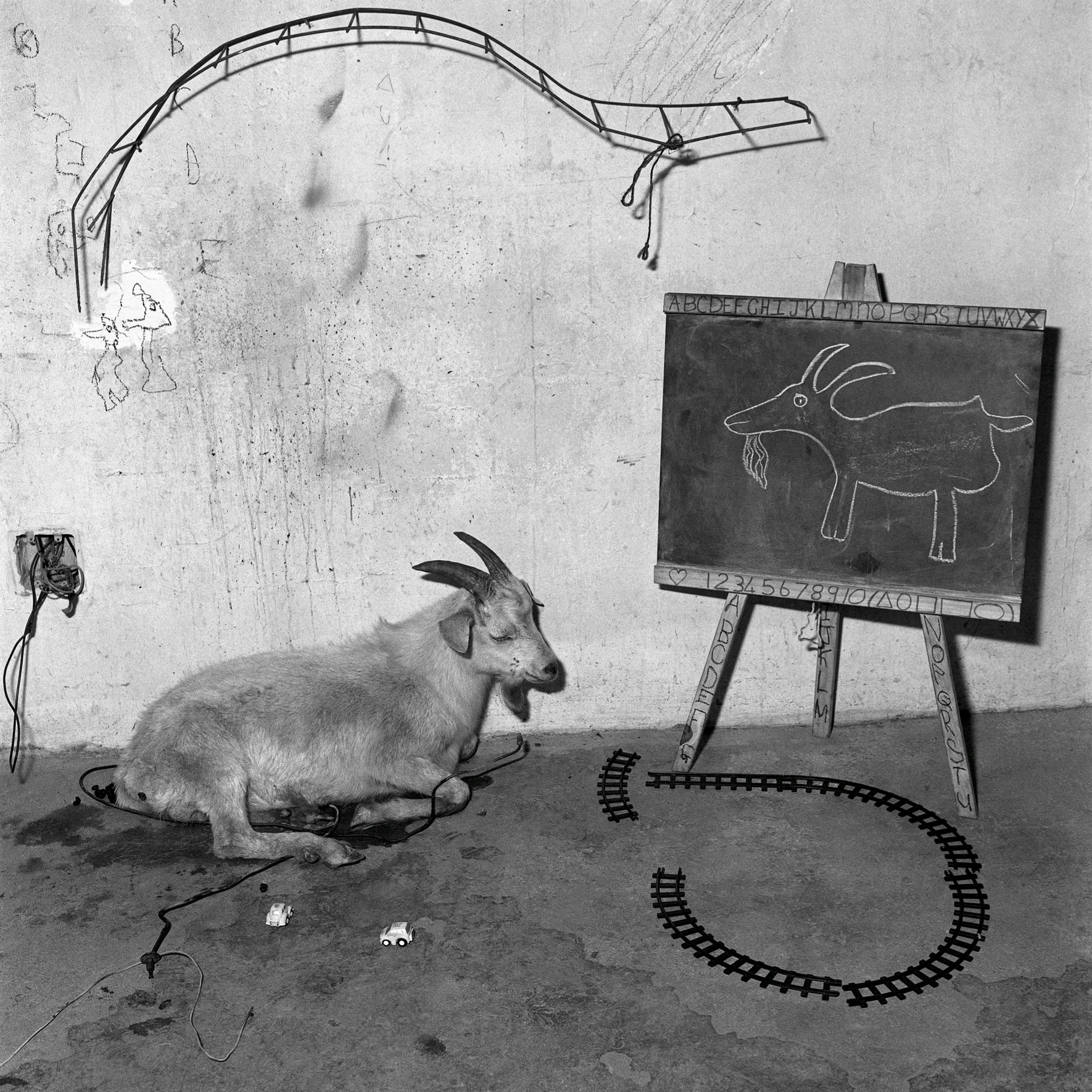 Roger Ballen's lens a dark mirror