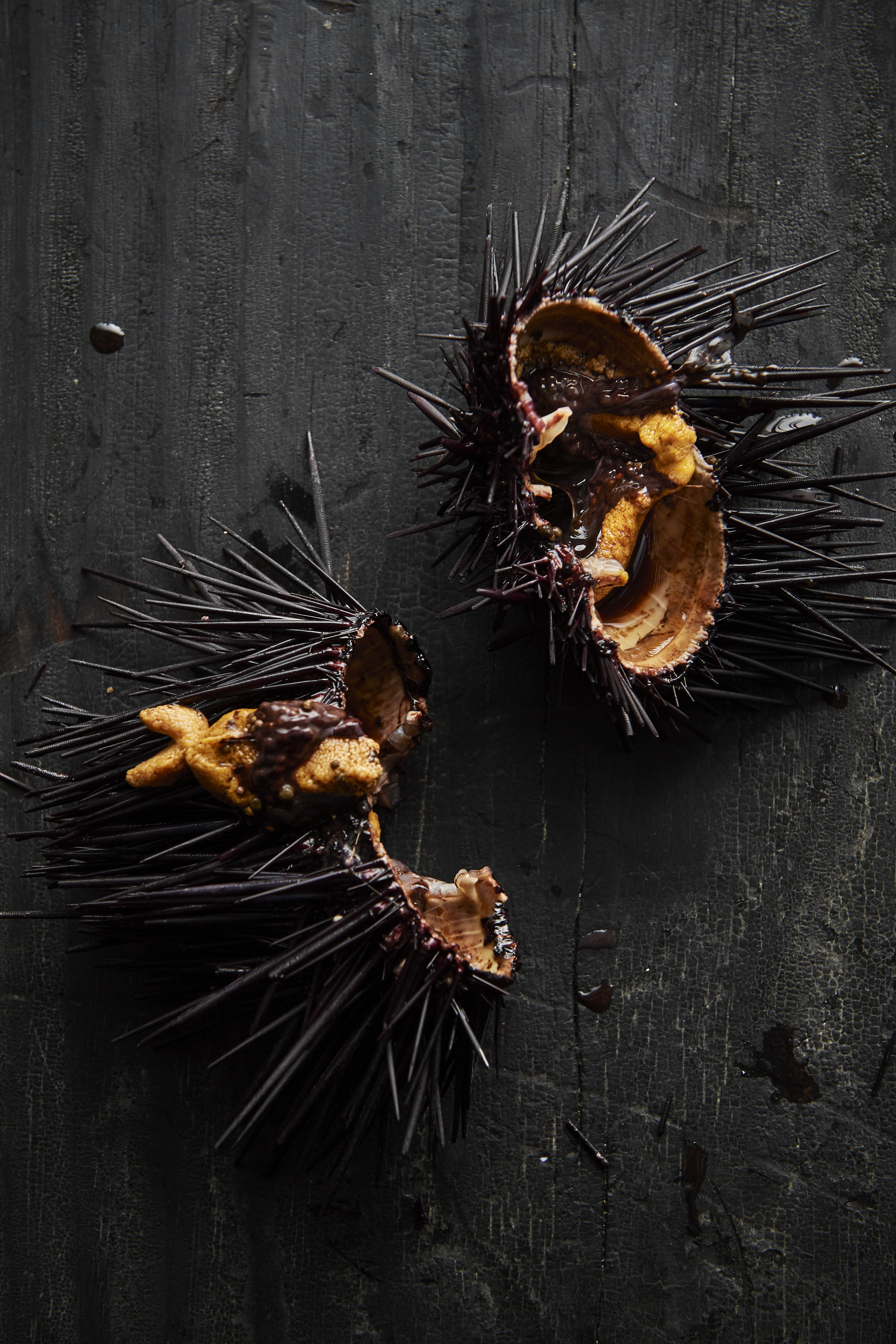 Sea urchin with cultured butter and toast