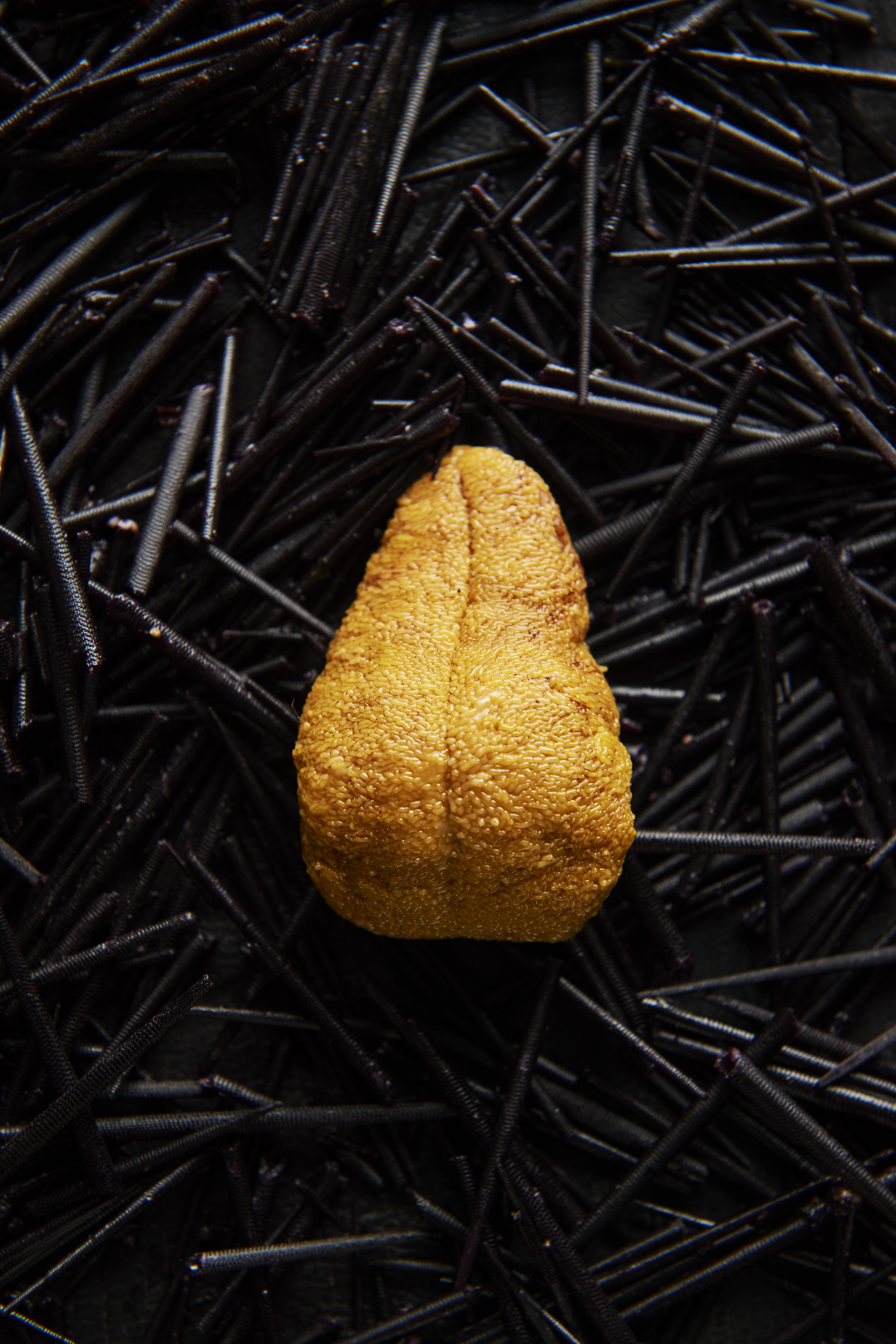 Sea urchin with cultured butter and toast