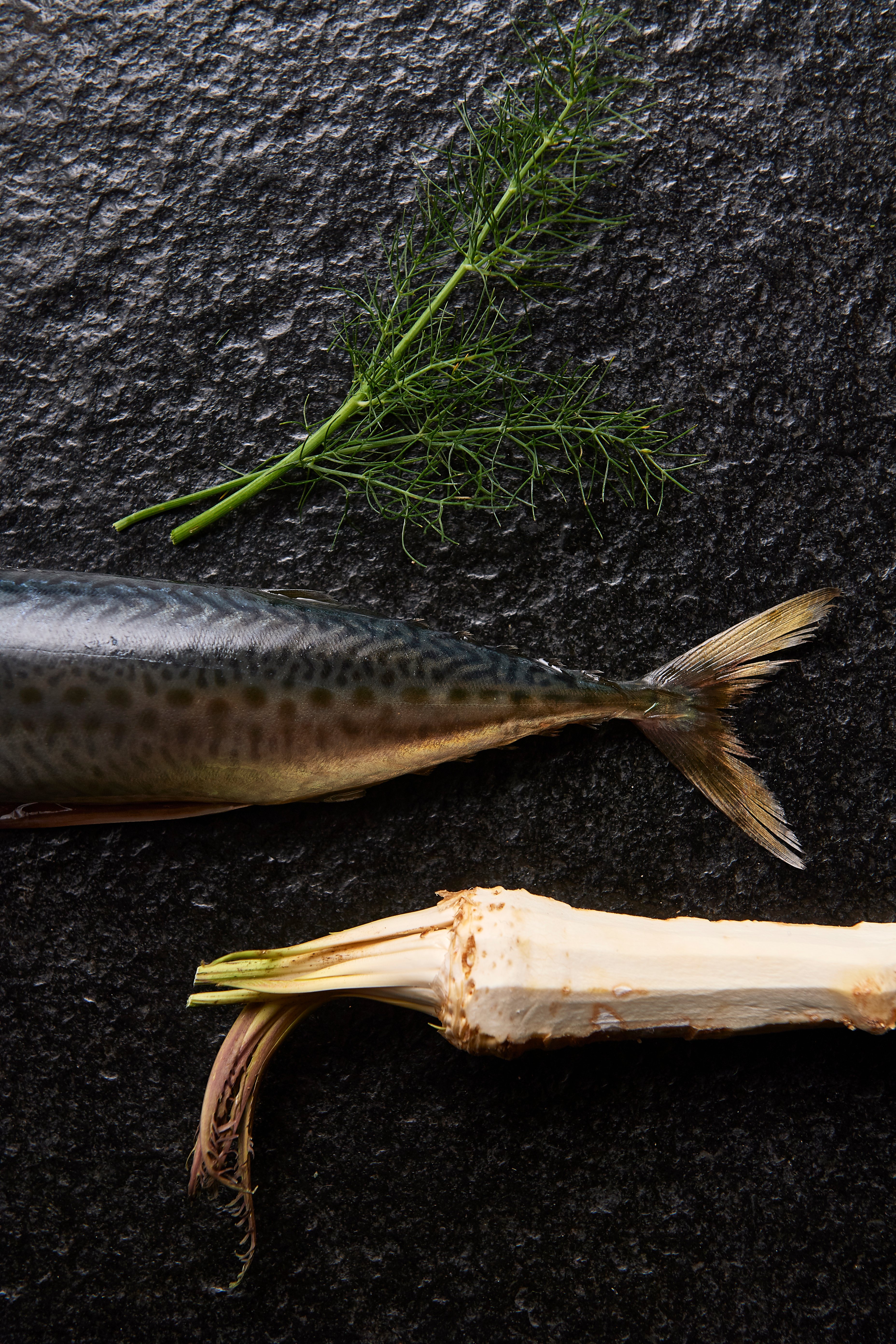 Grilled blue mackerel 