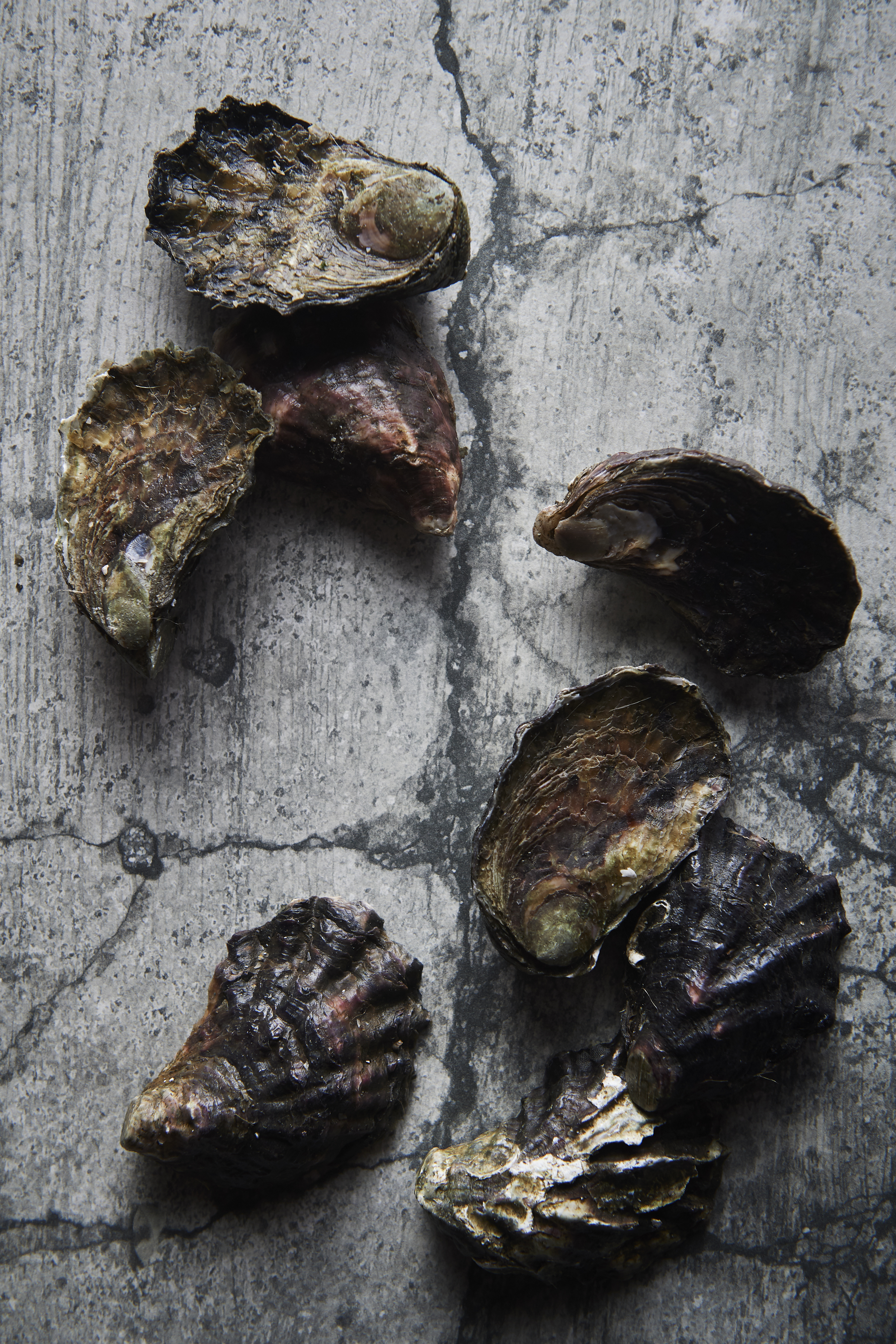 Smoked oysters and chicken broth