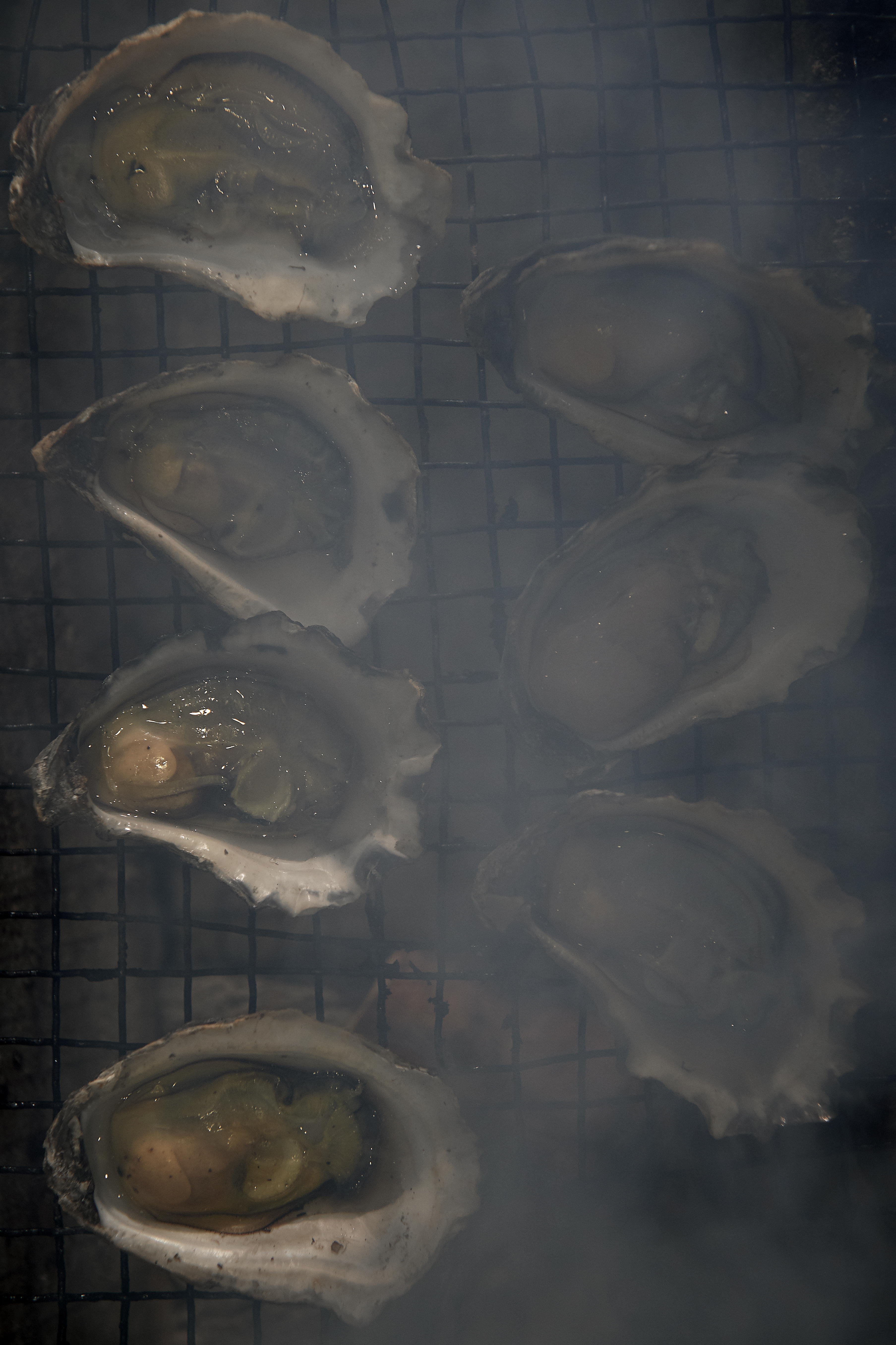 Smoked oysters and chicken broth