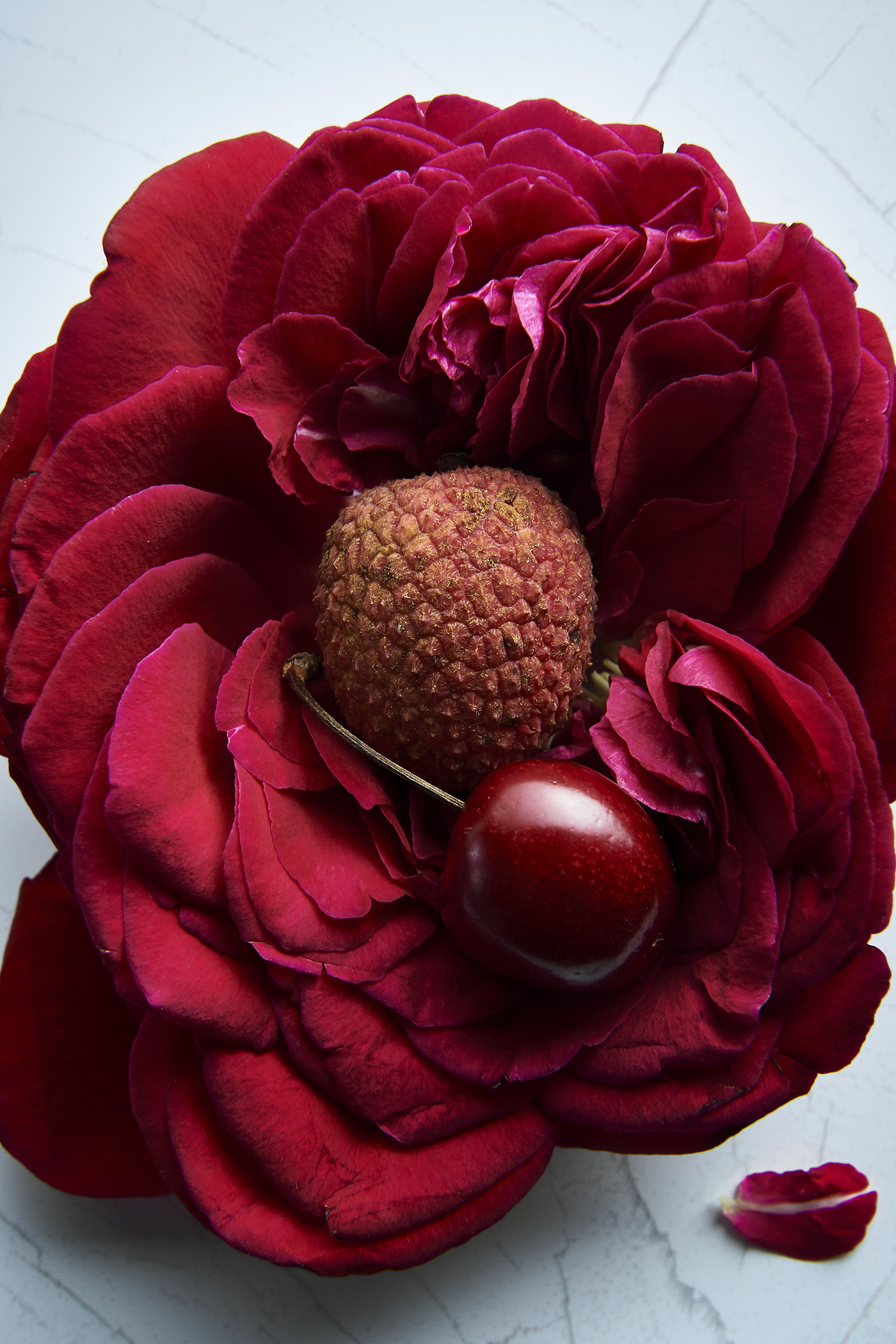 Lychees, cherries and rose petals with tahini and sesame cake