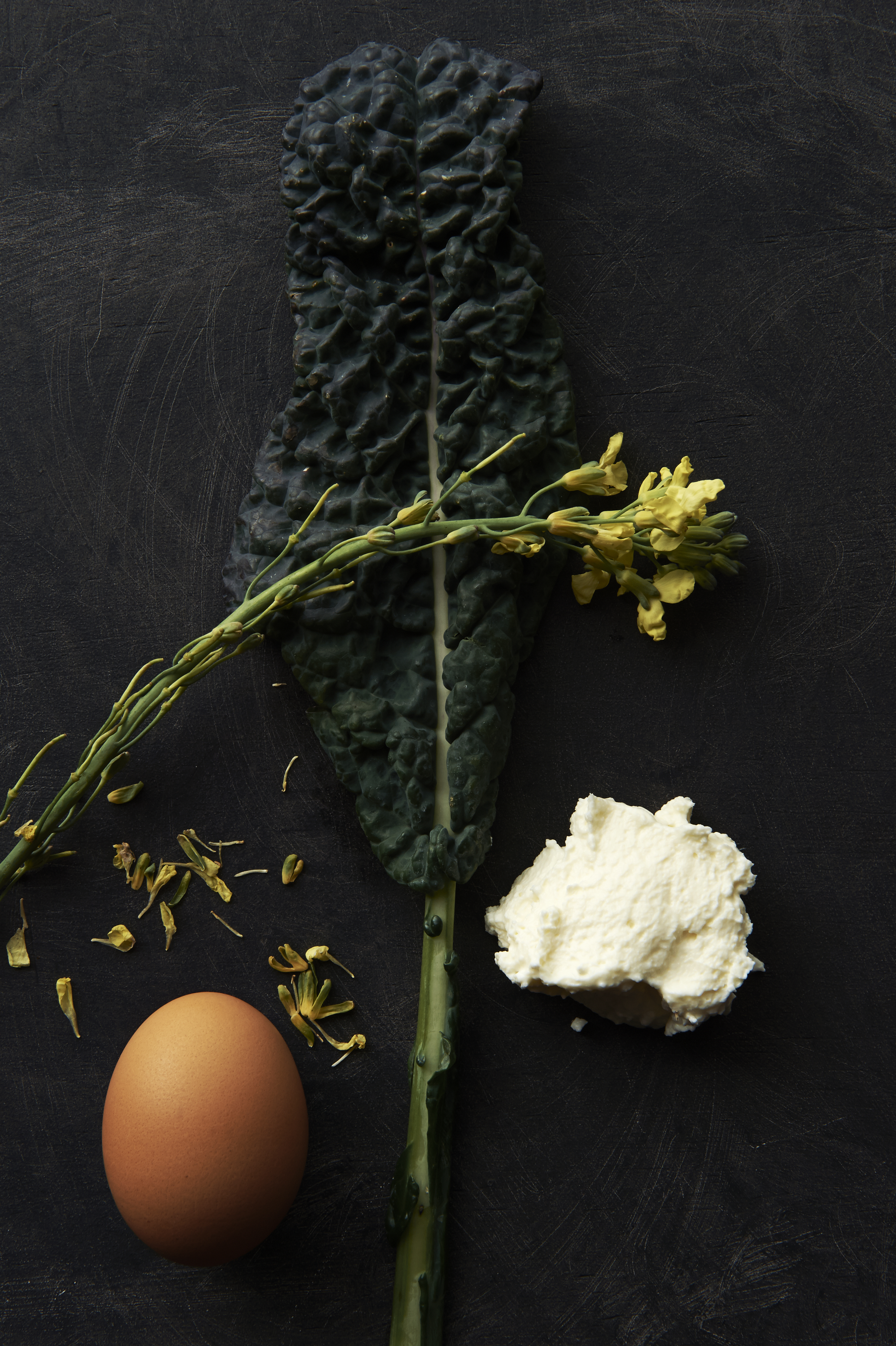 Omelette of spring greens and goat’s cheese