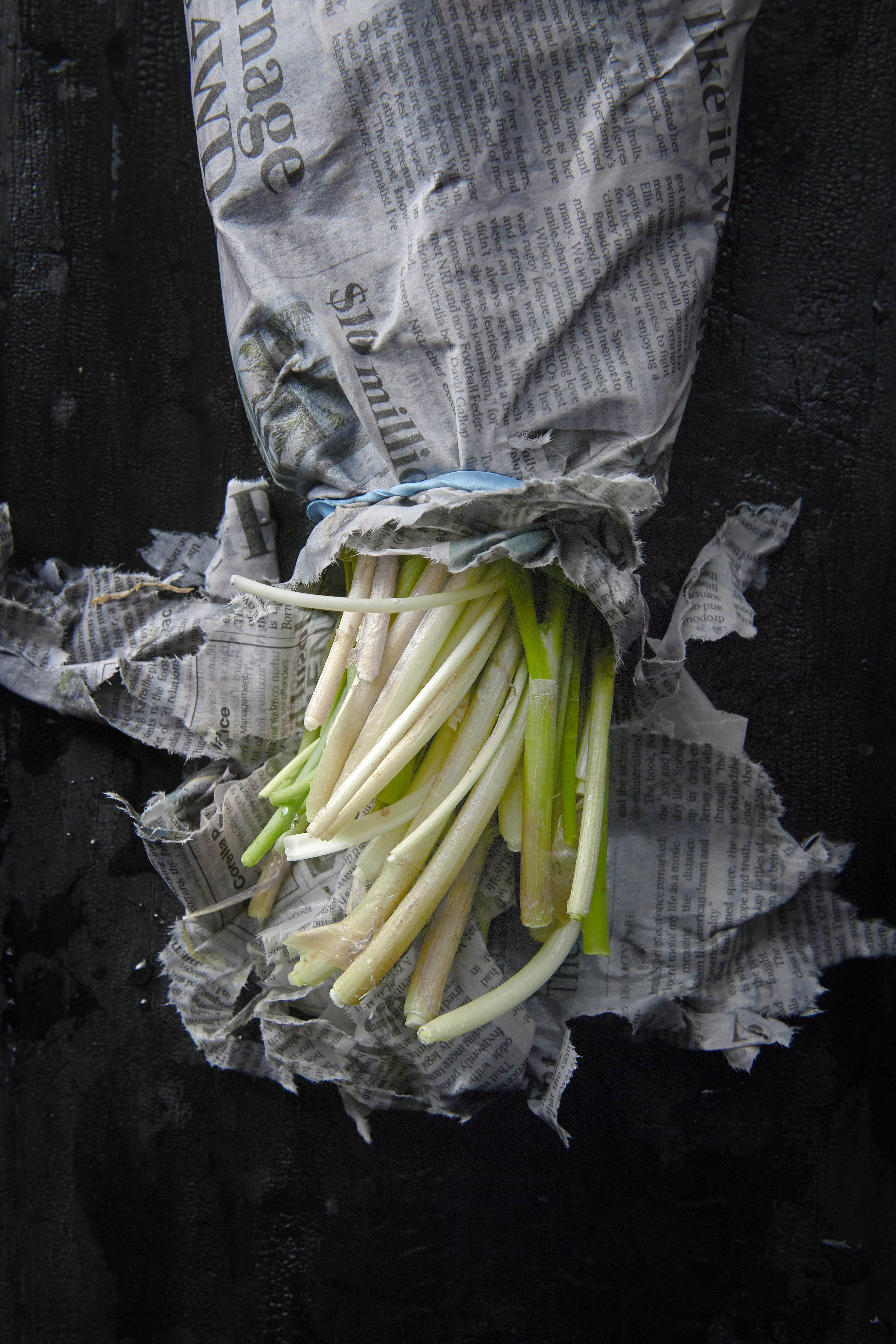 Spring onion and ricotta pancakes
