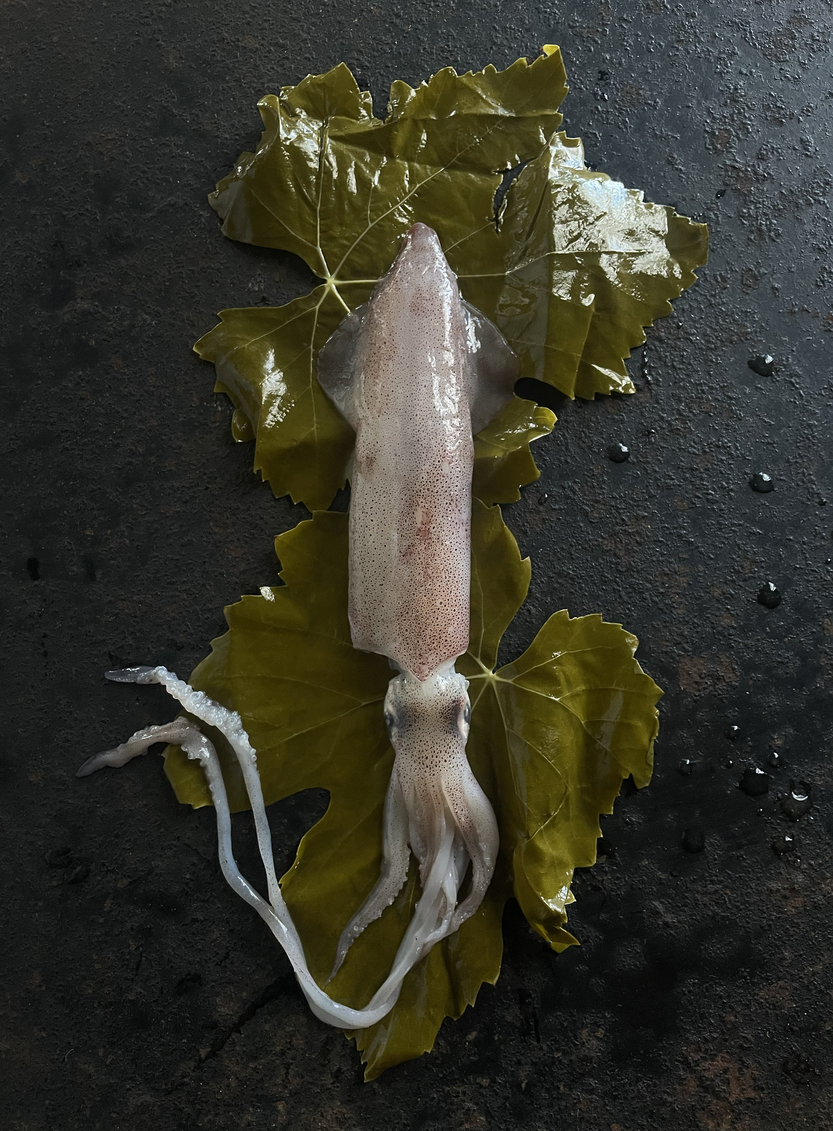 Stuffed squid in vine leaves